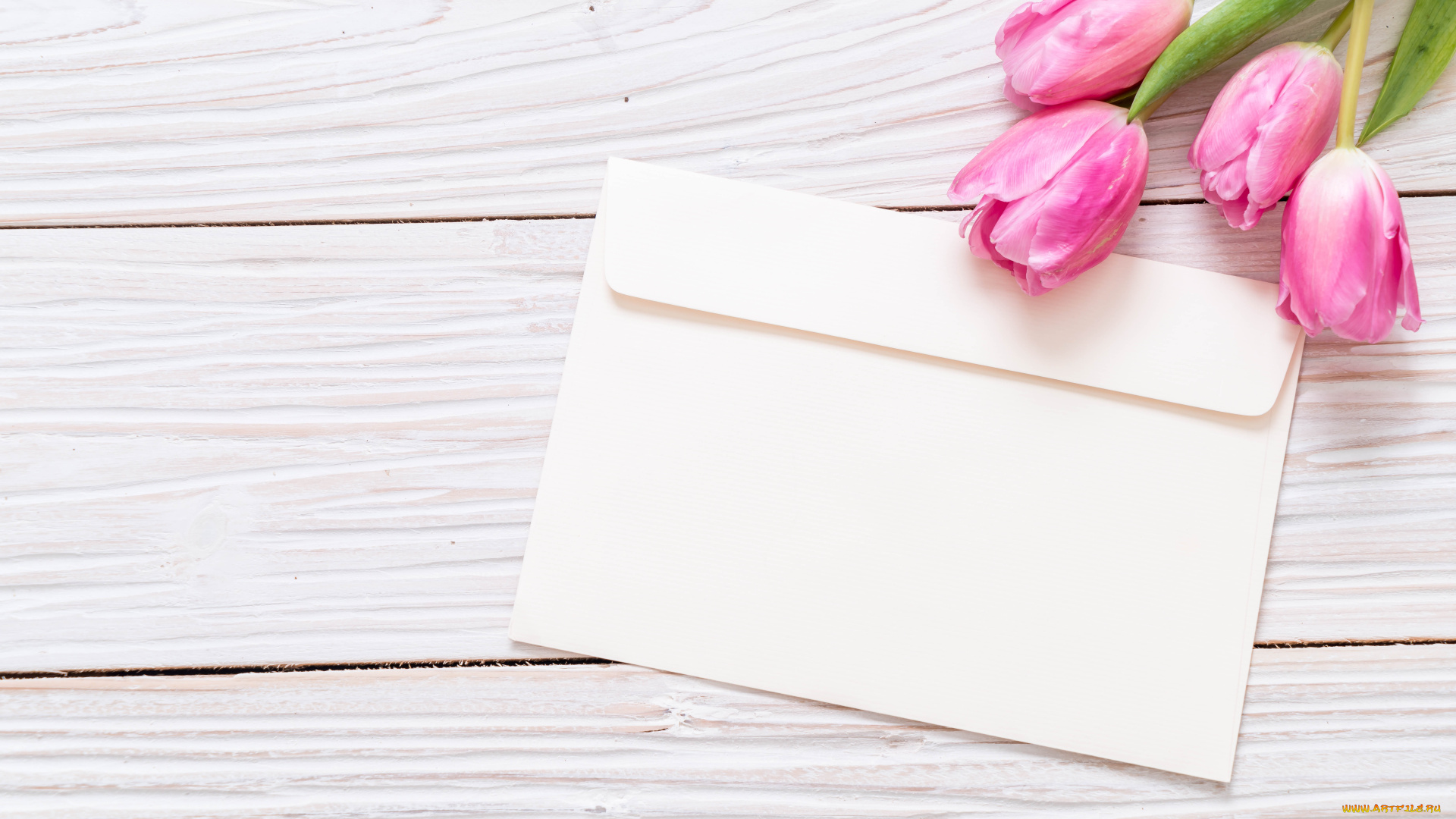 цветы, тюльпаны, фон, розовый, букет