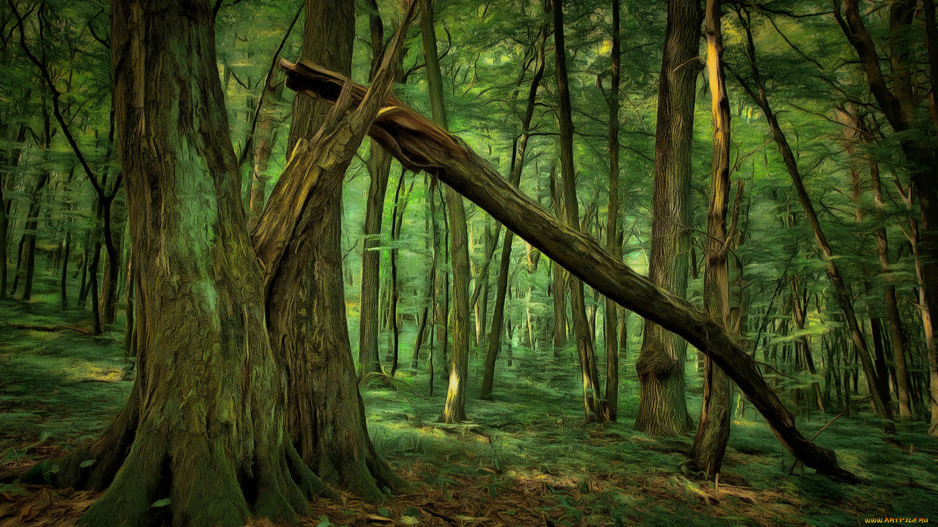 разное, компьютерный, дизайн, digital, painting, лес, деревья