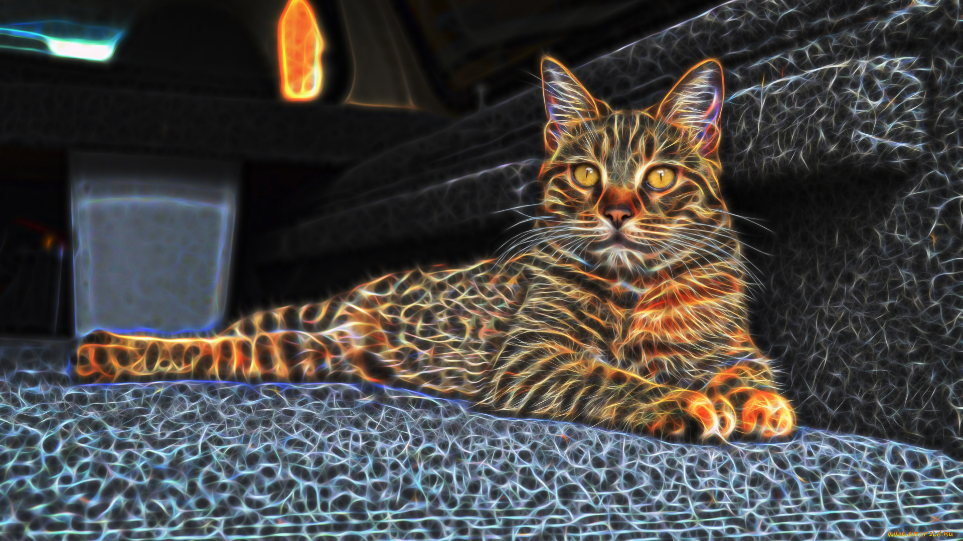 разное, компьютерный, дизайн, кот