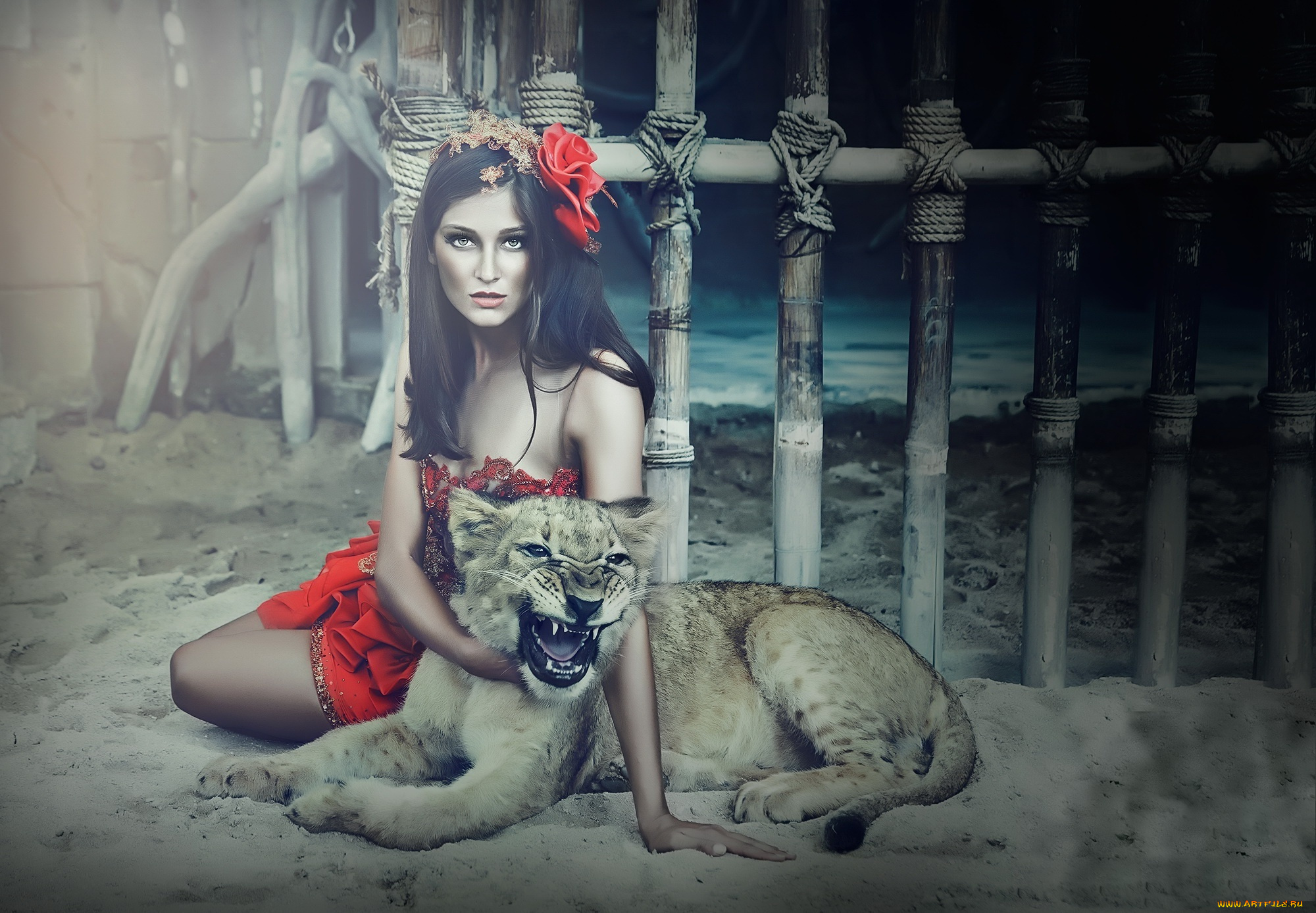 девушки, -unsort, , брюнетки, темноволосые, львенок, девушка