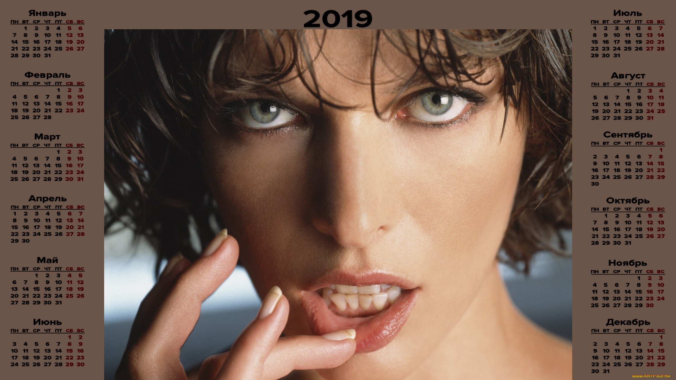 календари, знаменитости, женщина, лицо, актриса, взгляд