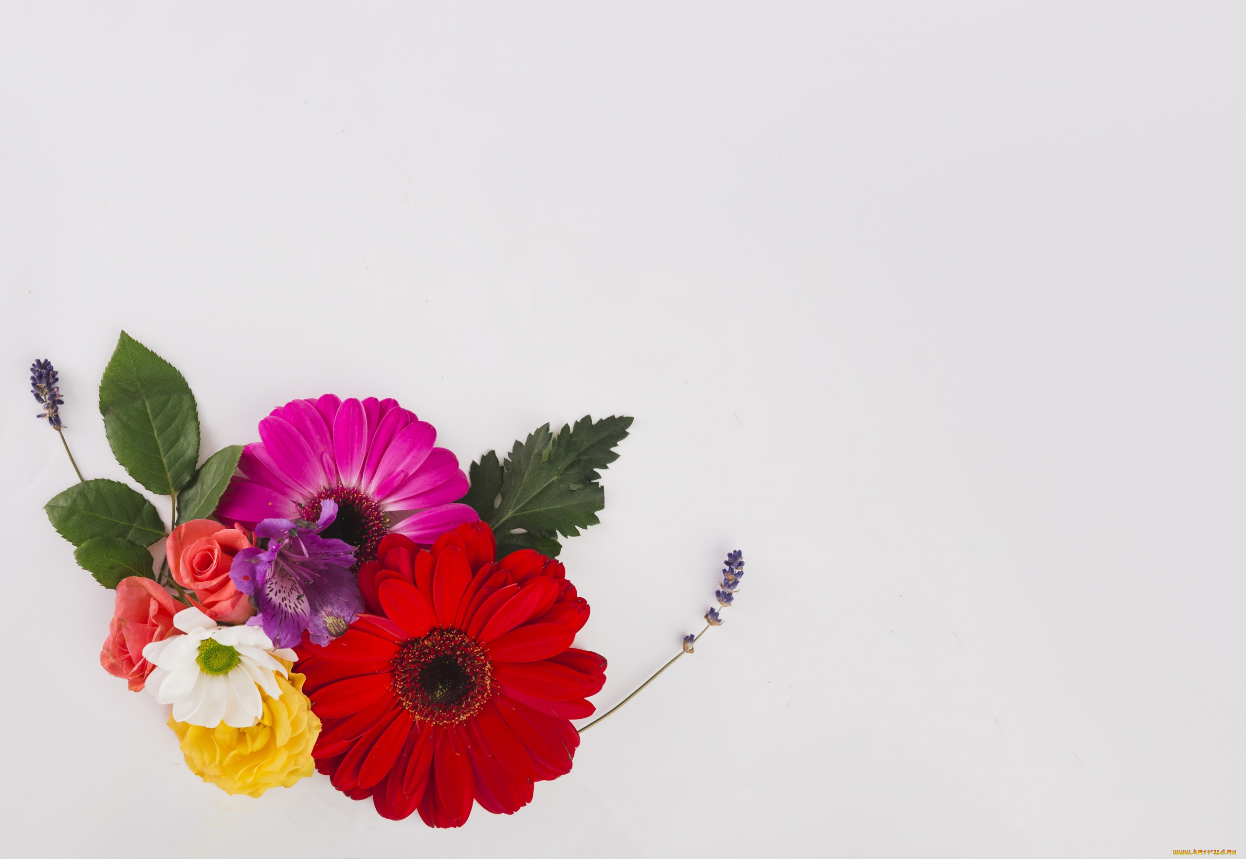 цветы, букеты, , композиции, листья, лаванда, герберы, розы