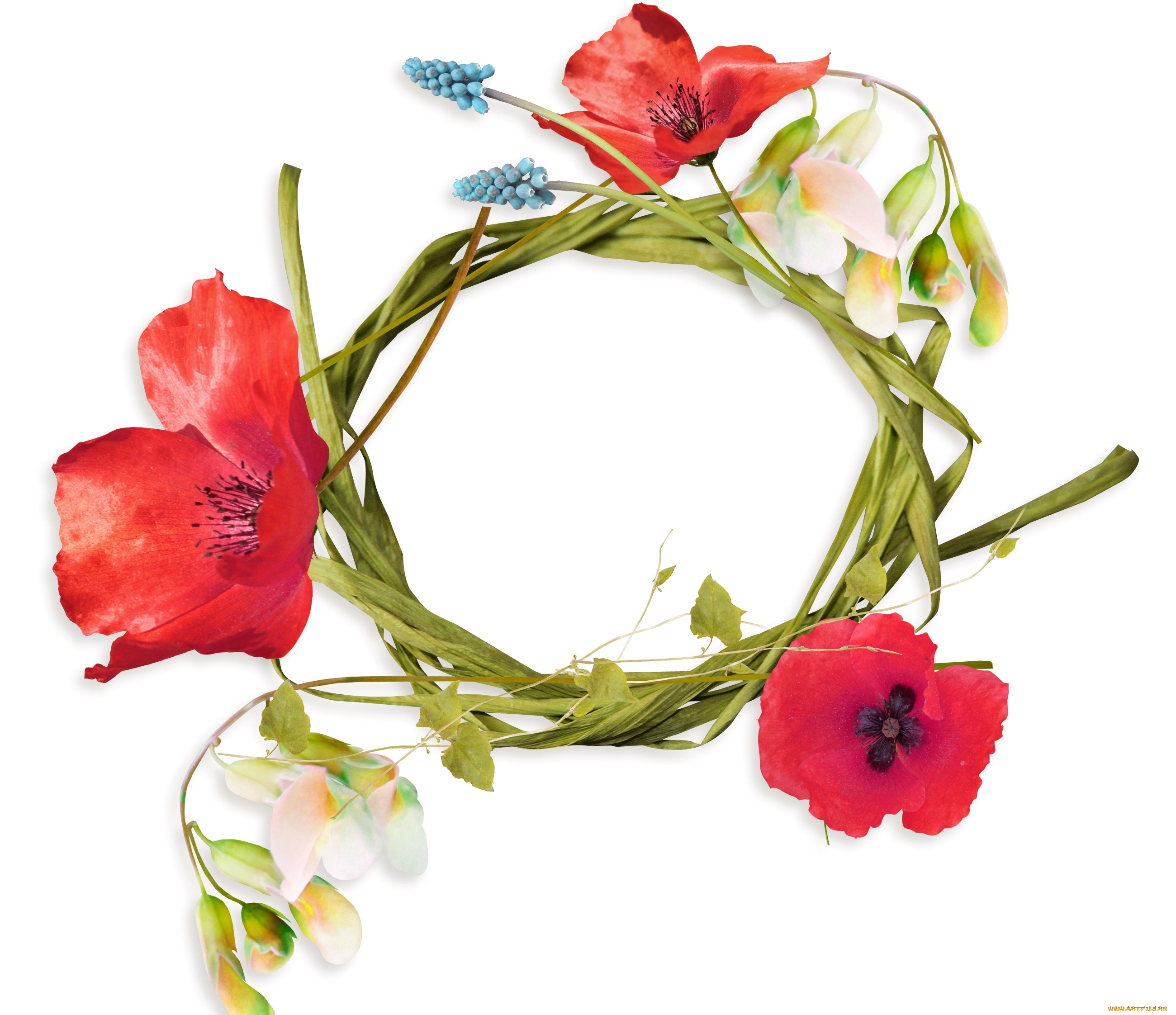 цветы, букеты, , композиции, гиацинты, венок, маки