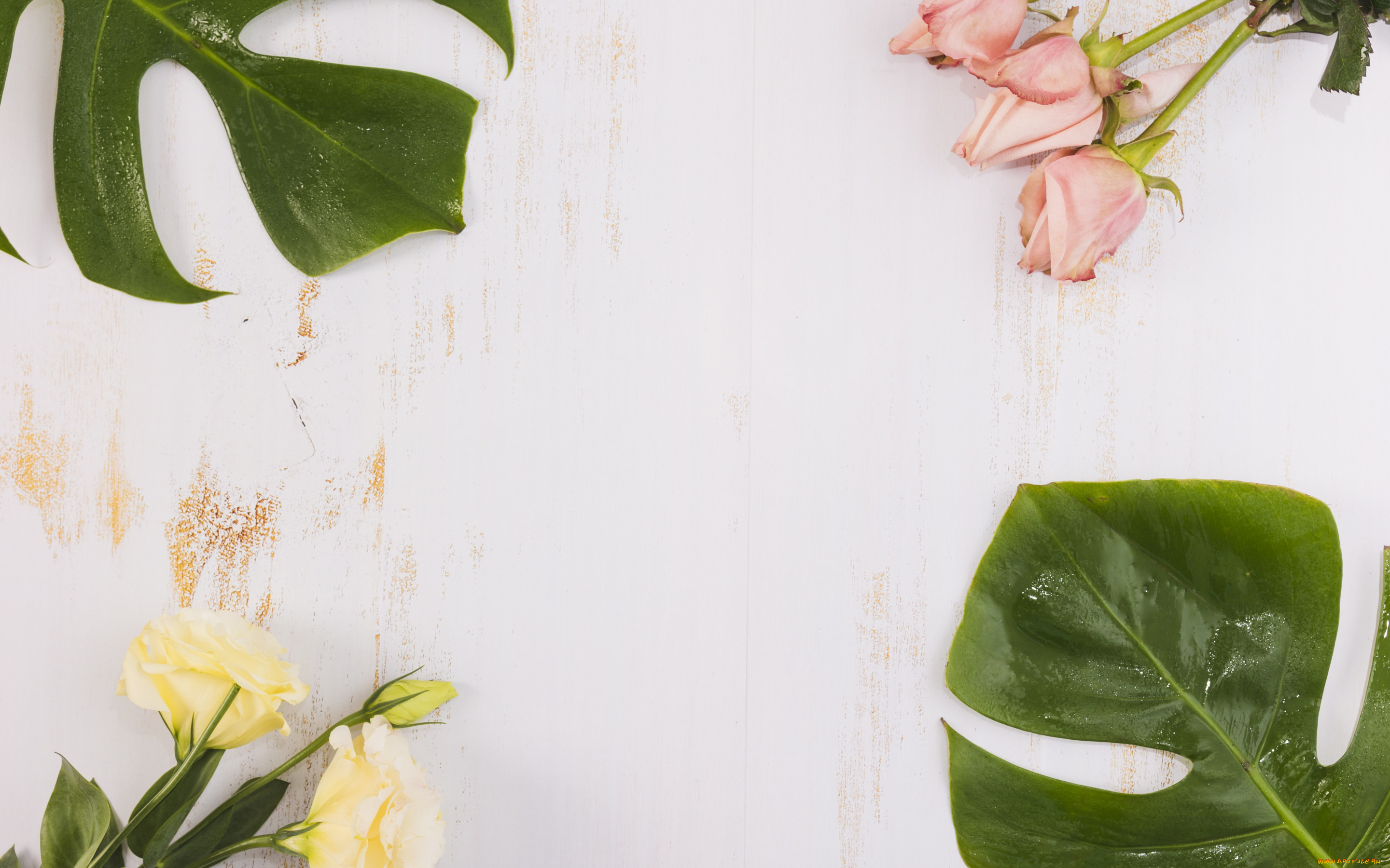 цветы, разные, вместе, эустома, розы, листья