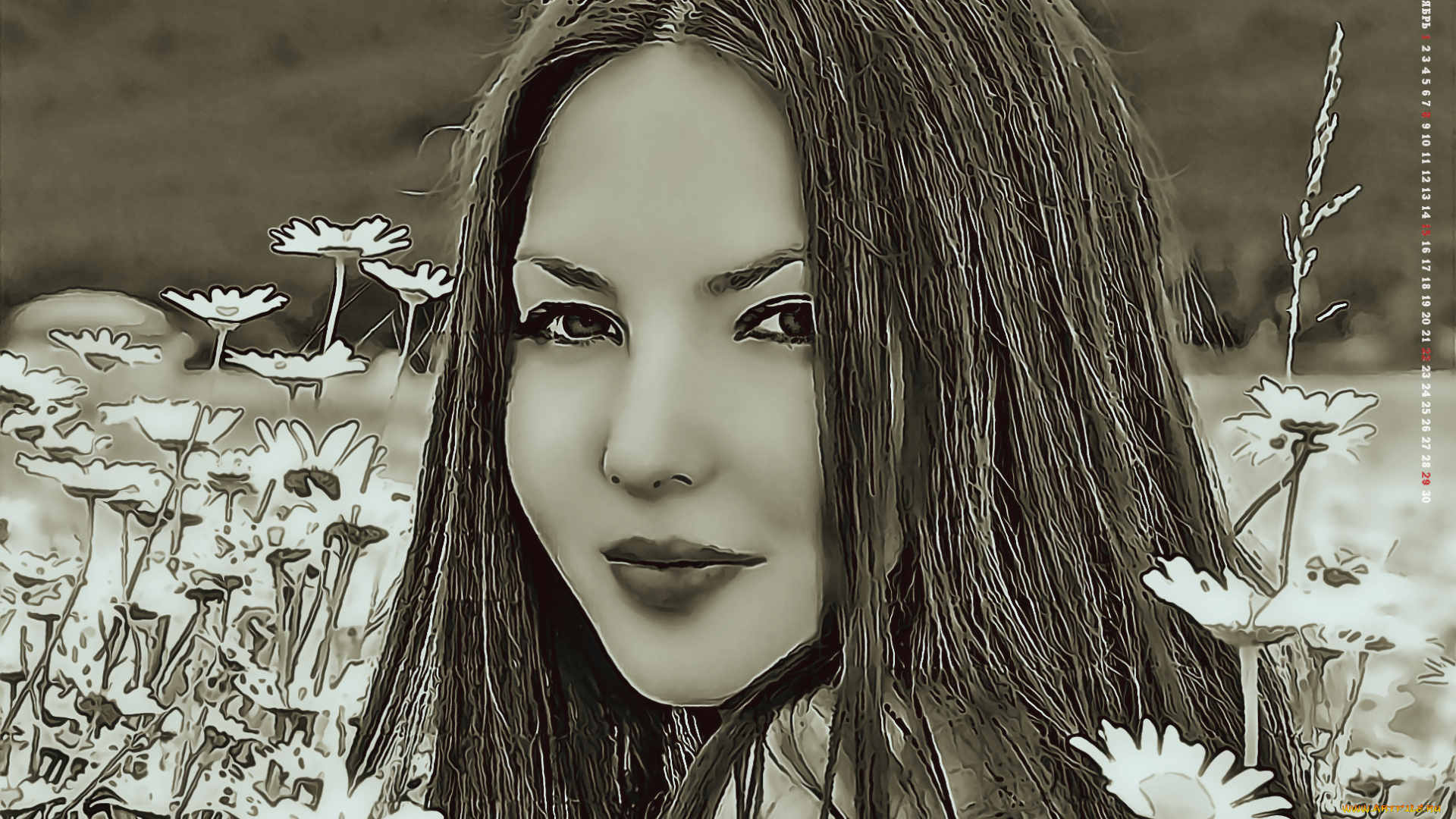 календари, компьютерный, дизайн, calendar, девушка, женщина, взгляд, лицо, 2019, цветы, ромашка