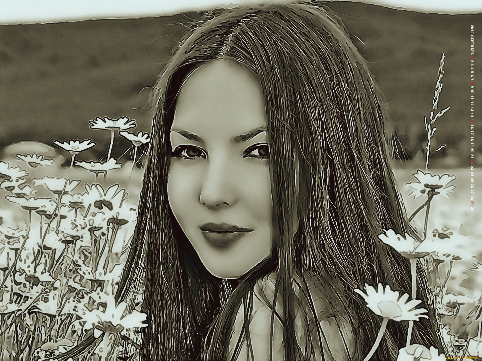 календари, компьютерный, дизайн, calendar, девушка, женщина, взгляд, лицо, 2019, цветы, ромашка