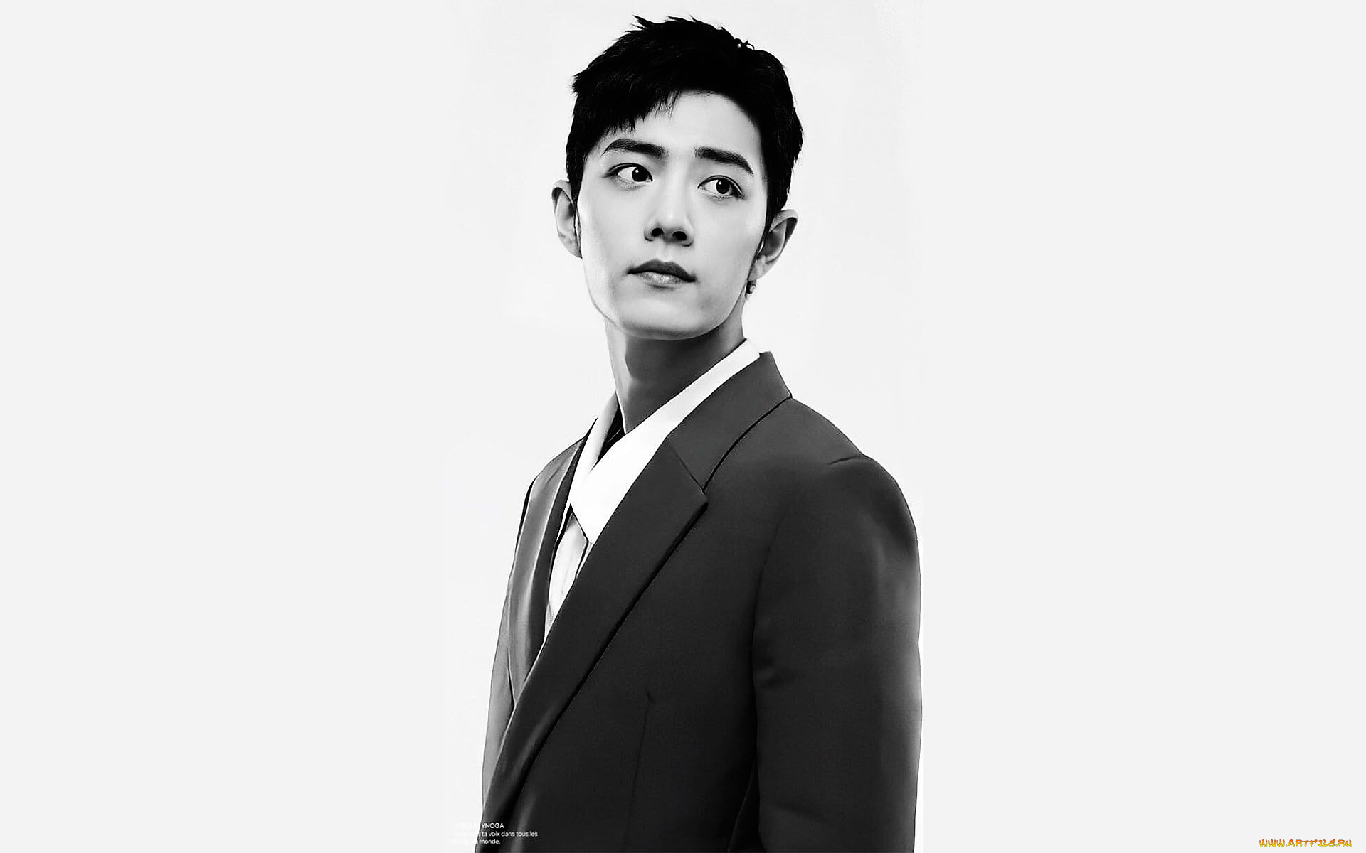 мужчины, xiao, zhan, актер, пиджак