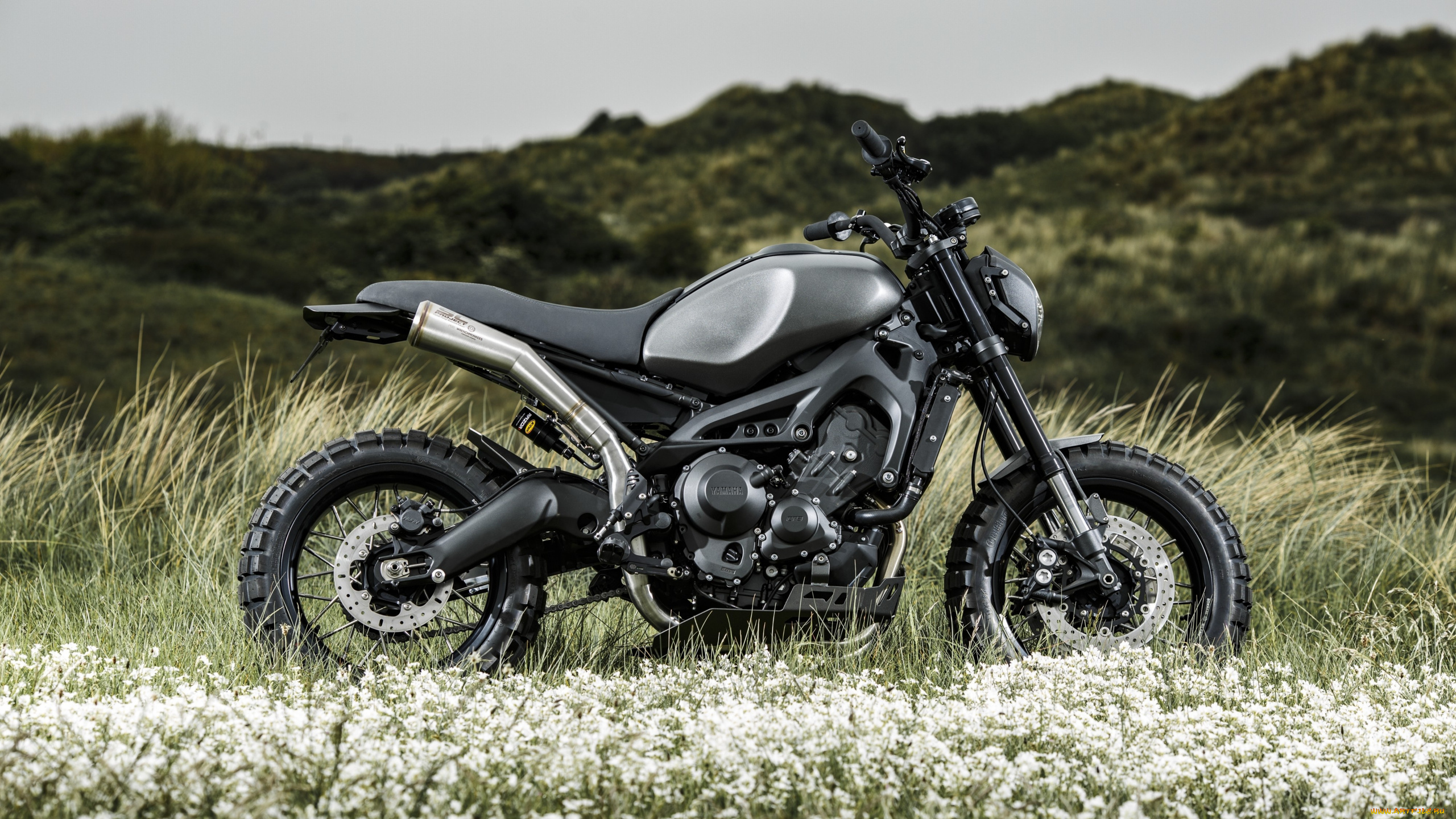 мотоциклы, yamaha, xsr, 900, профиль, мотоцикл, черный, природа