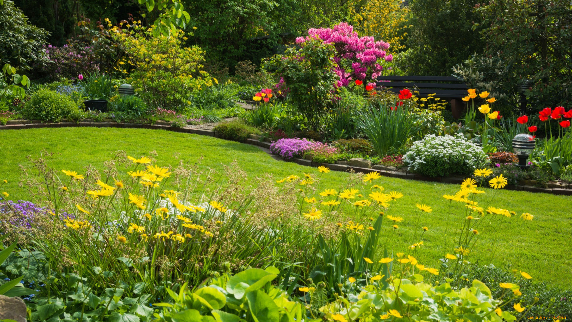 природа, парк, лужайка, клумбы, цветы