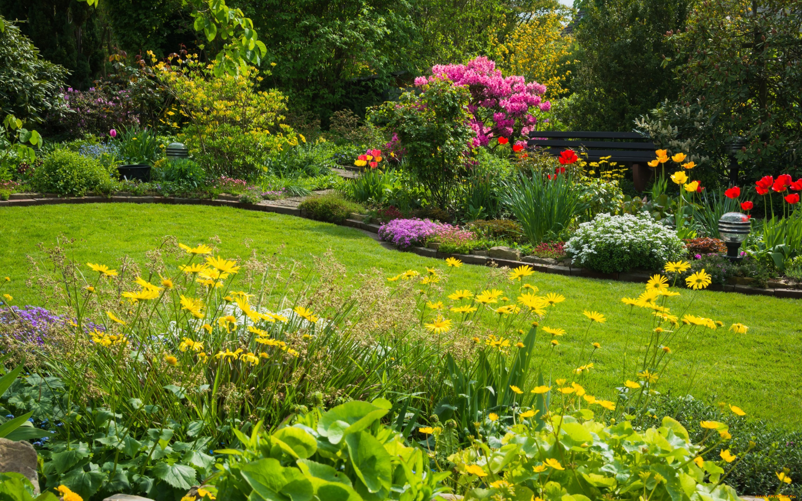 природа, парк, лужайка, клумбы, цветы