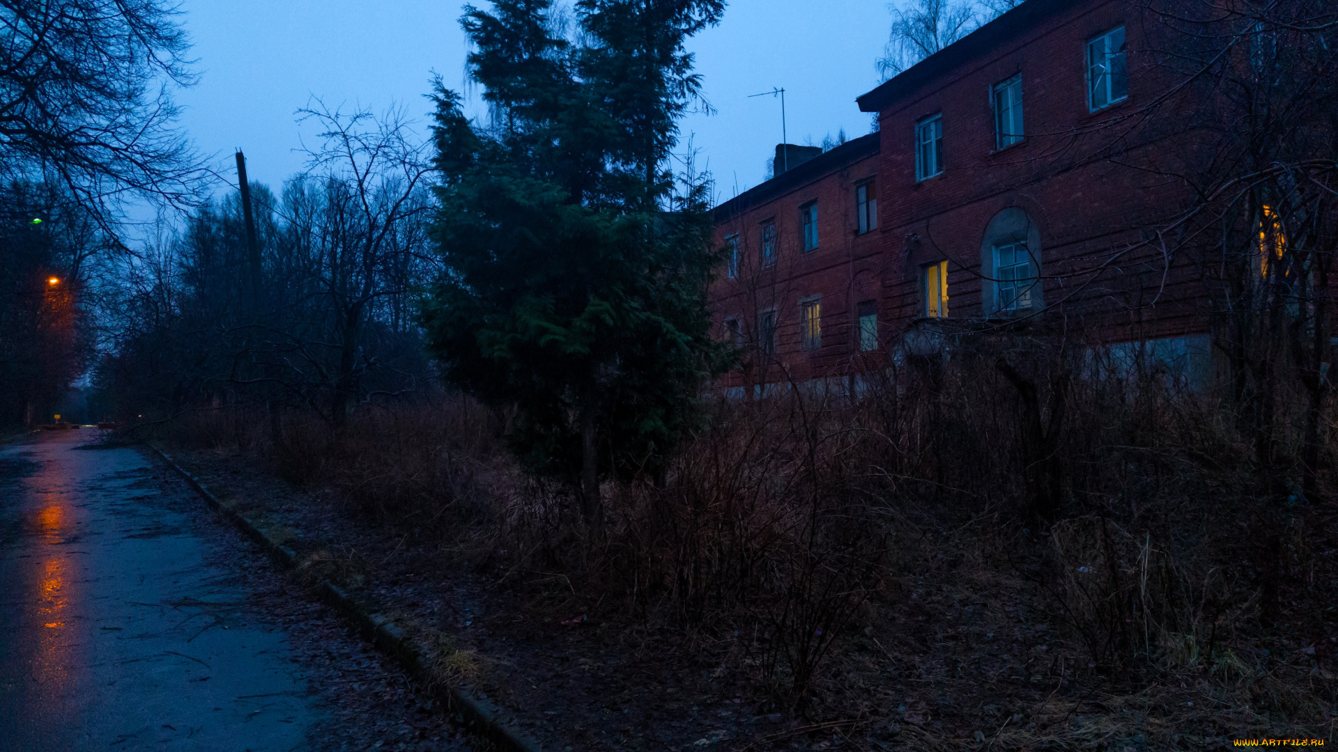 артем, города, -, улицы, , площади, , набережные, дома, улица, деревья, дорога, осень