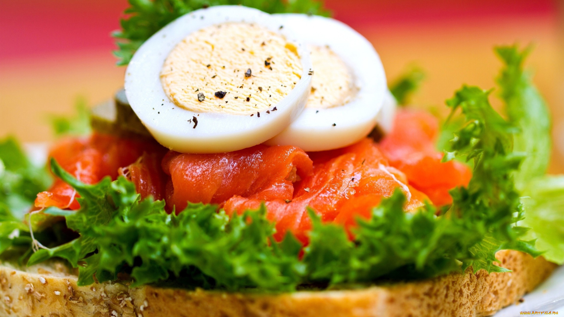 еда, бутерброды, , гамбургеры, , канапе, зелень, бутерброд, лосось, яйца