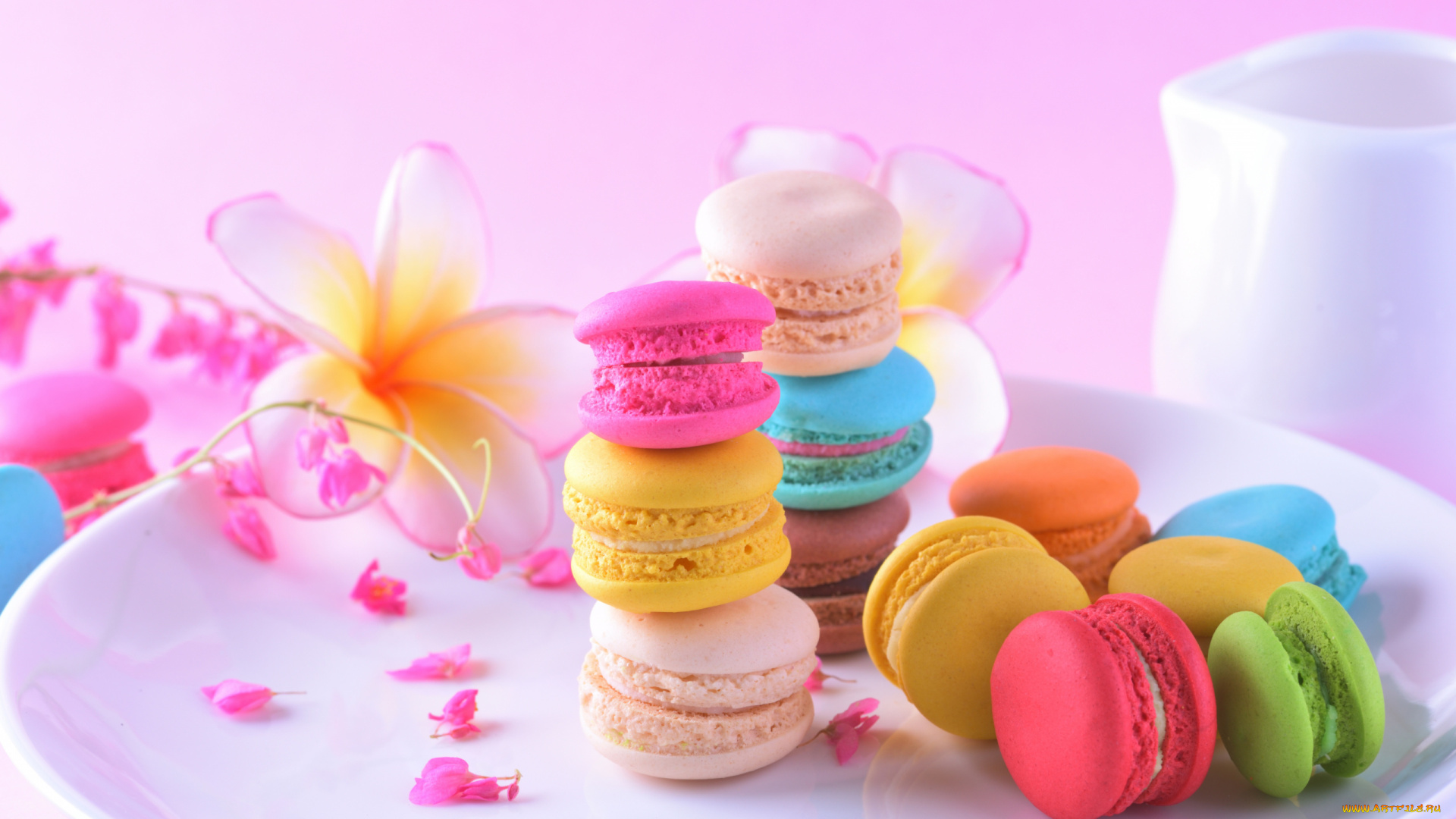 еда, макаруны, лакомство, ассорти