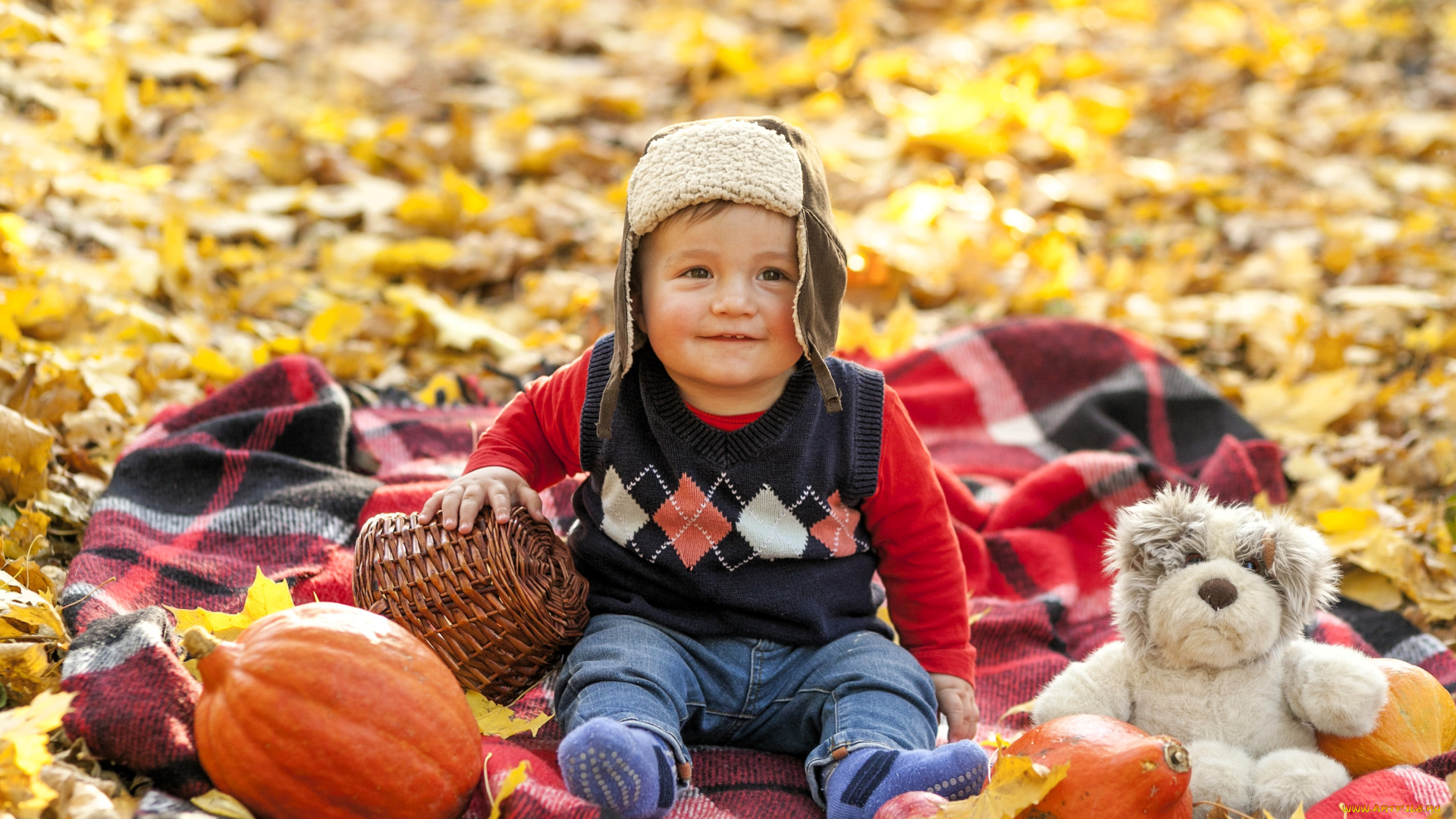 разное, дети, мальчик, шапка, свитер, подстилка, корзина, тыквы, осень, листья, мишка