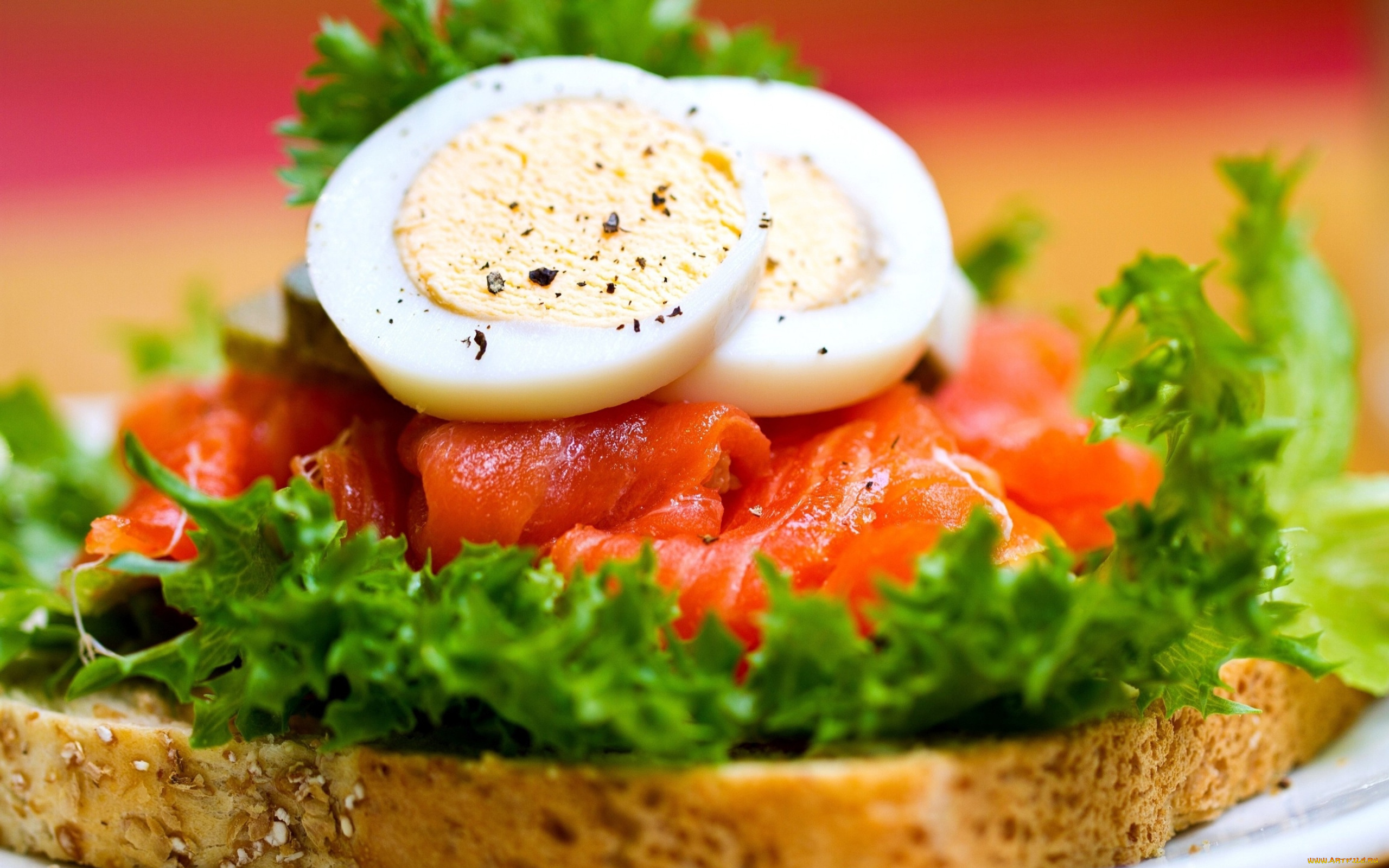 еда, бутерброды, , гамбургеры, , канапе, зелень, бутерброд, лосось, яйца