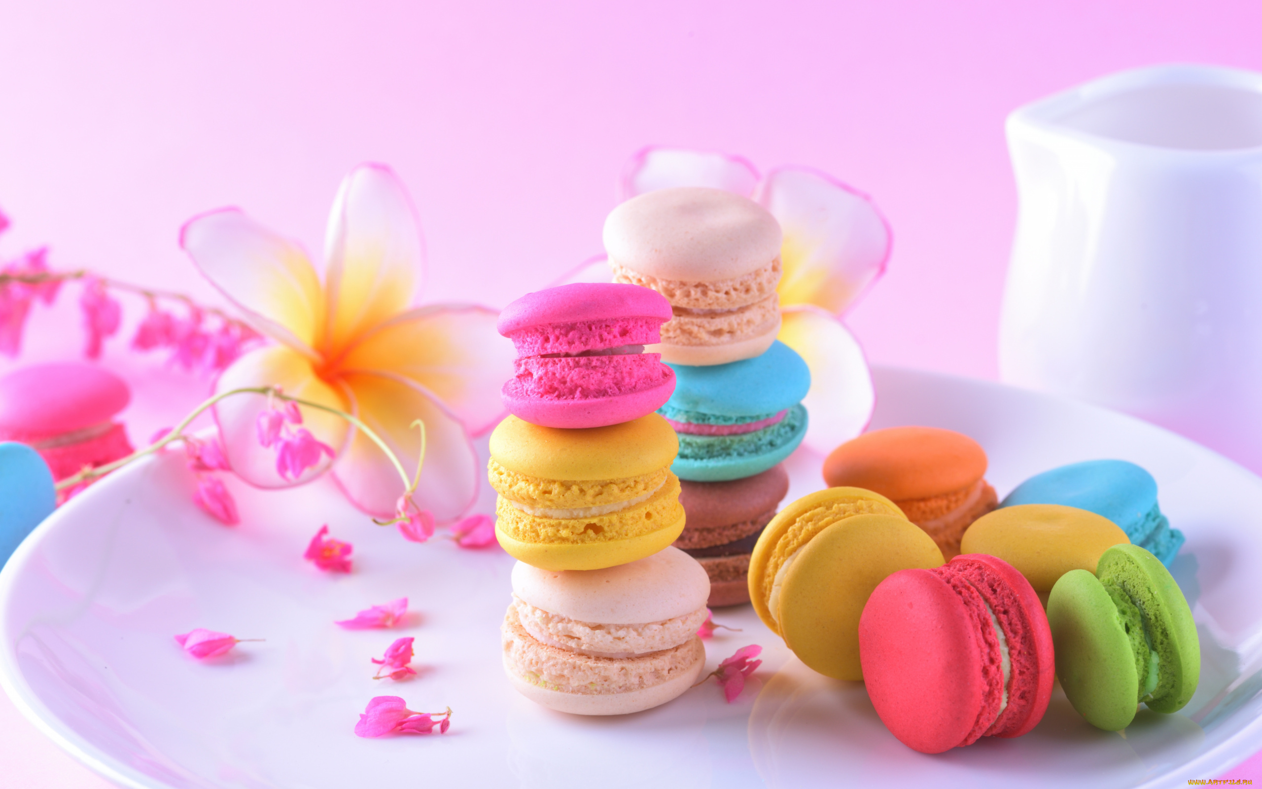 еда, макаруны, лакомство, ассорти