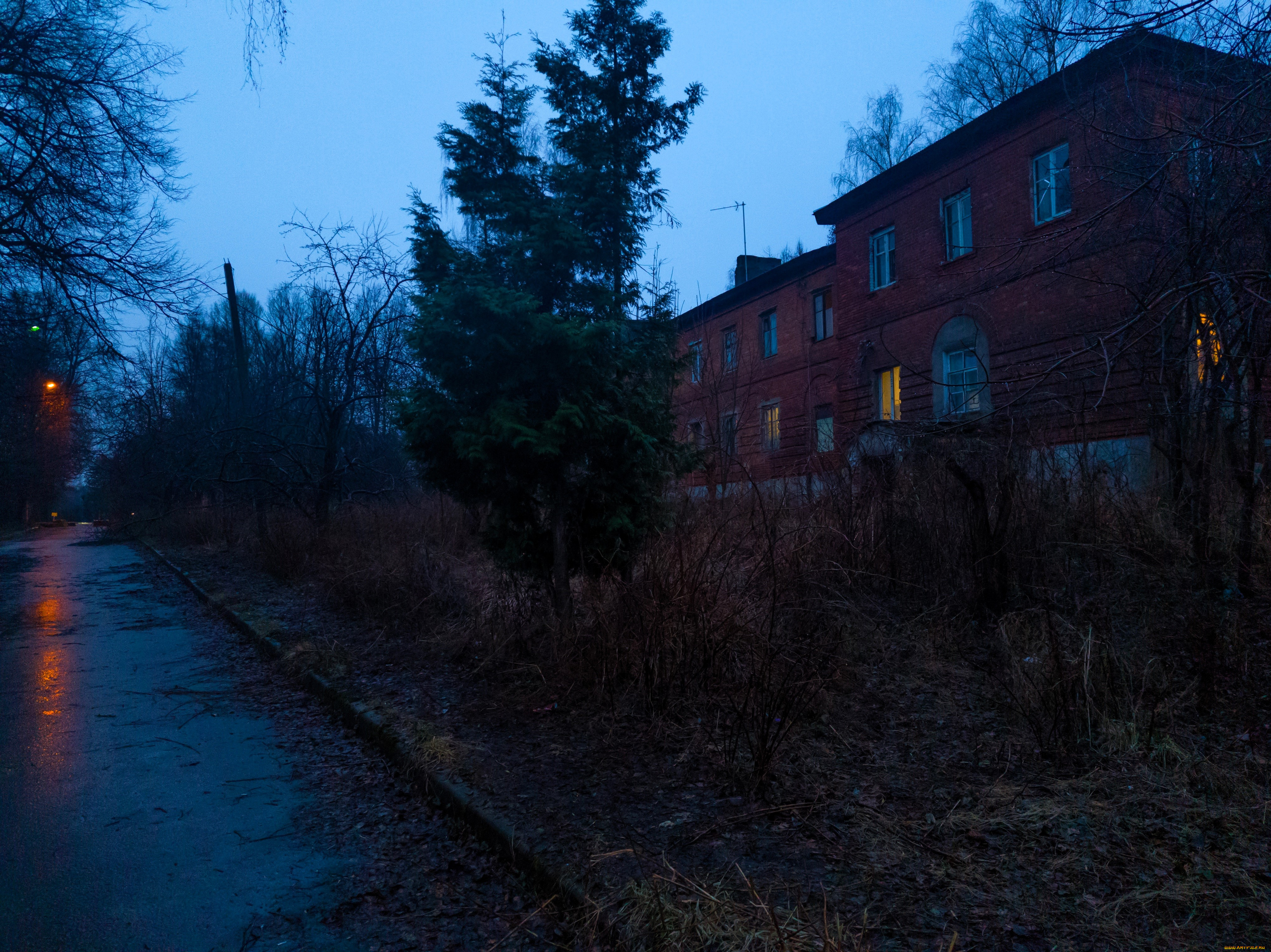 артем, города, -, улицы, , площади, , набережные, дома, улица, деревья, дорога, осень