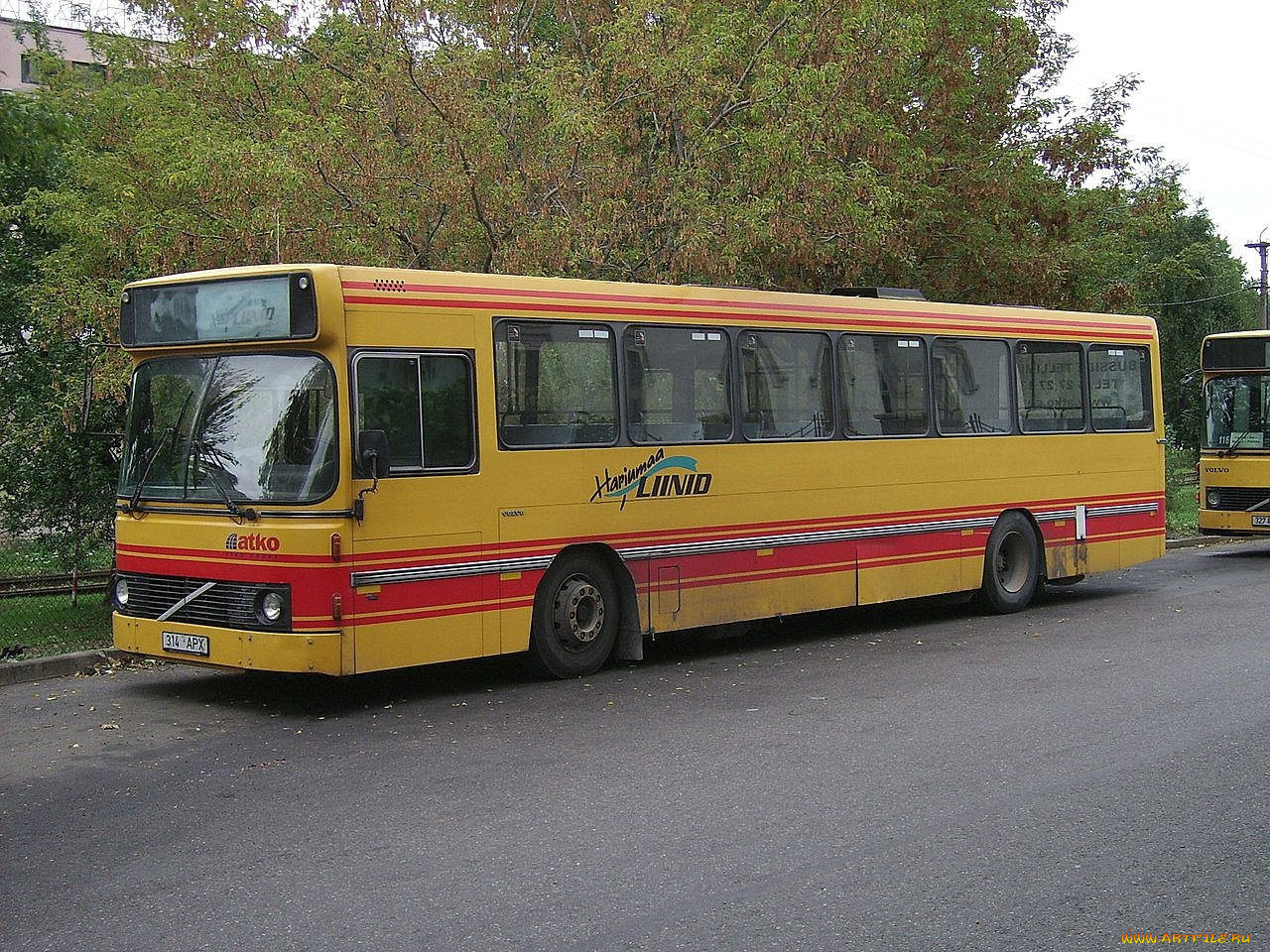 автомобили, автобусы