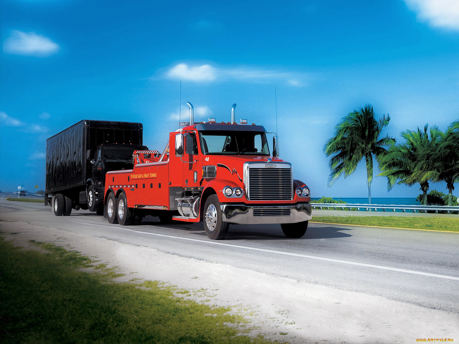 автомобили, freightliner