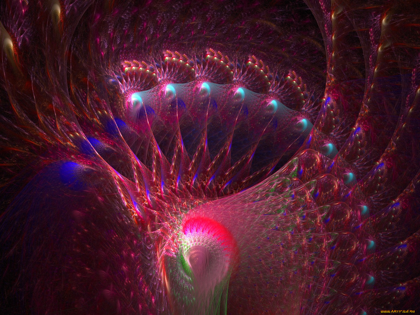 3д, графика, fractal, фракталы, узор, абстракция