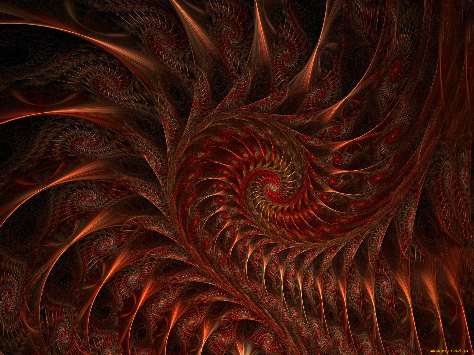 3д, графика, fractal, фракталы, узор, абстракция