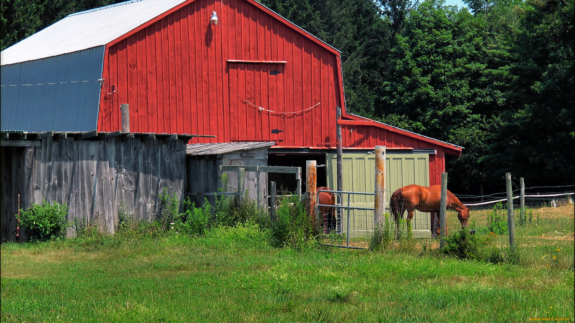 разное, сооружения, постройки, деревья, дом, сарай, трава