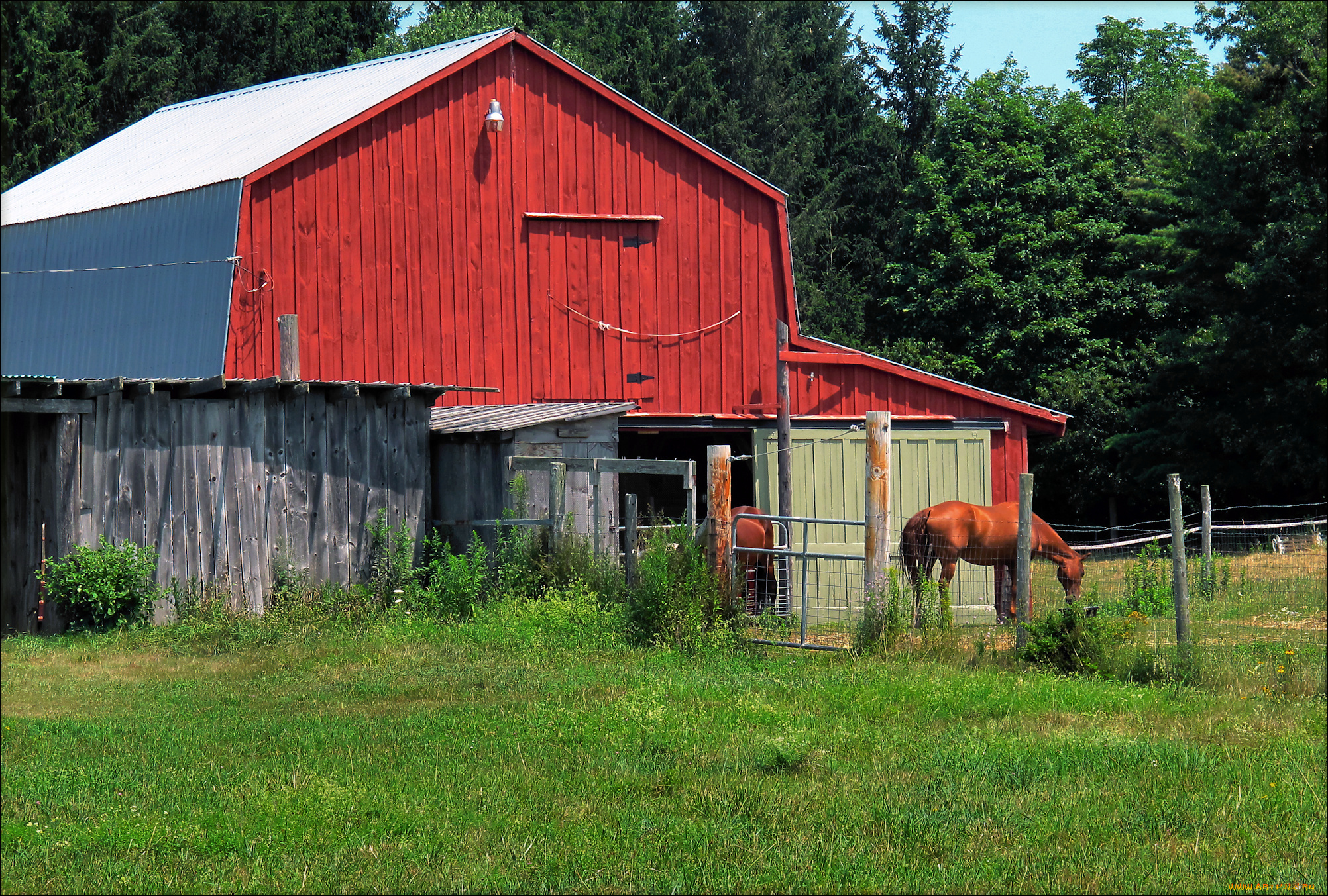 разное, сооружения, постройки, деревья, дом, сарай, трава