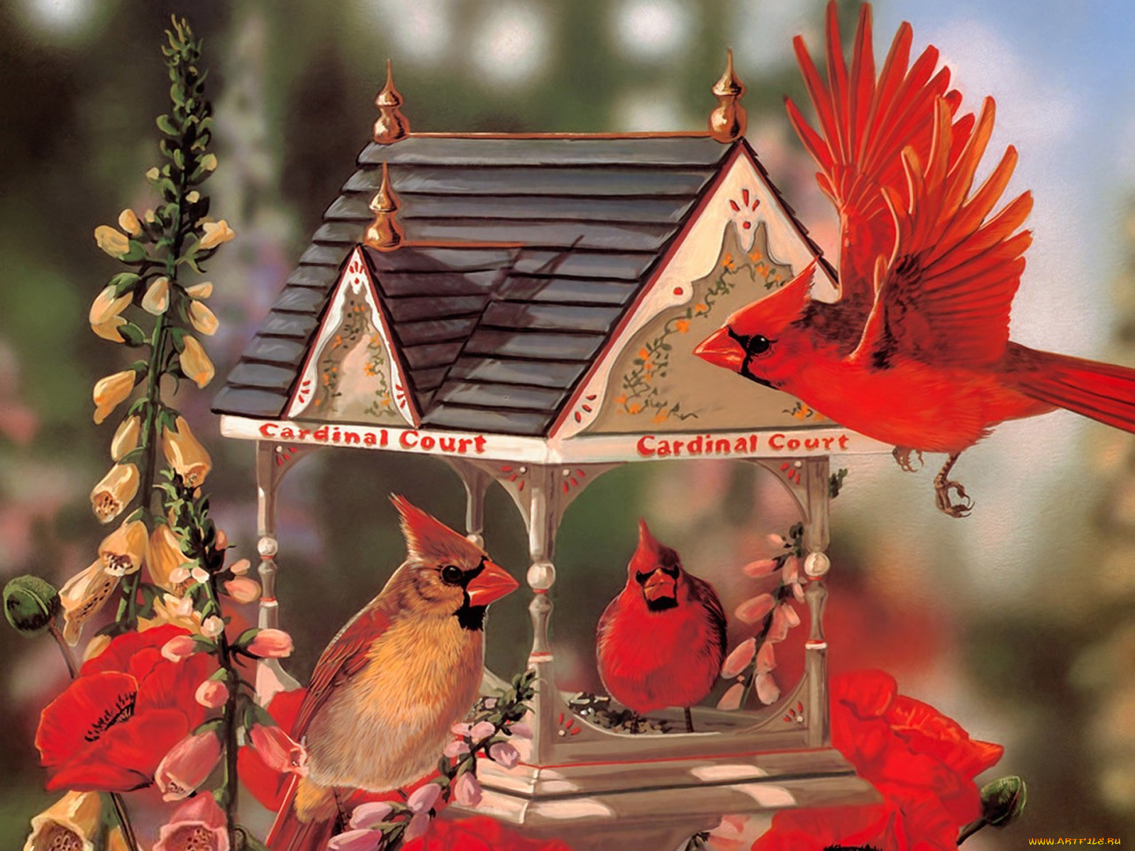 рисованные, janene, grende, кормушка, для, птиц, красный, кардинал