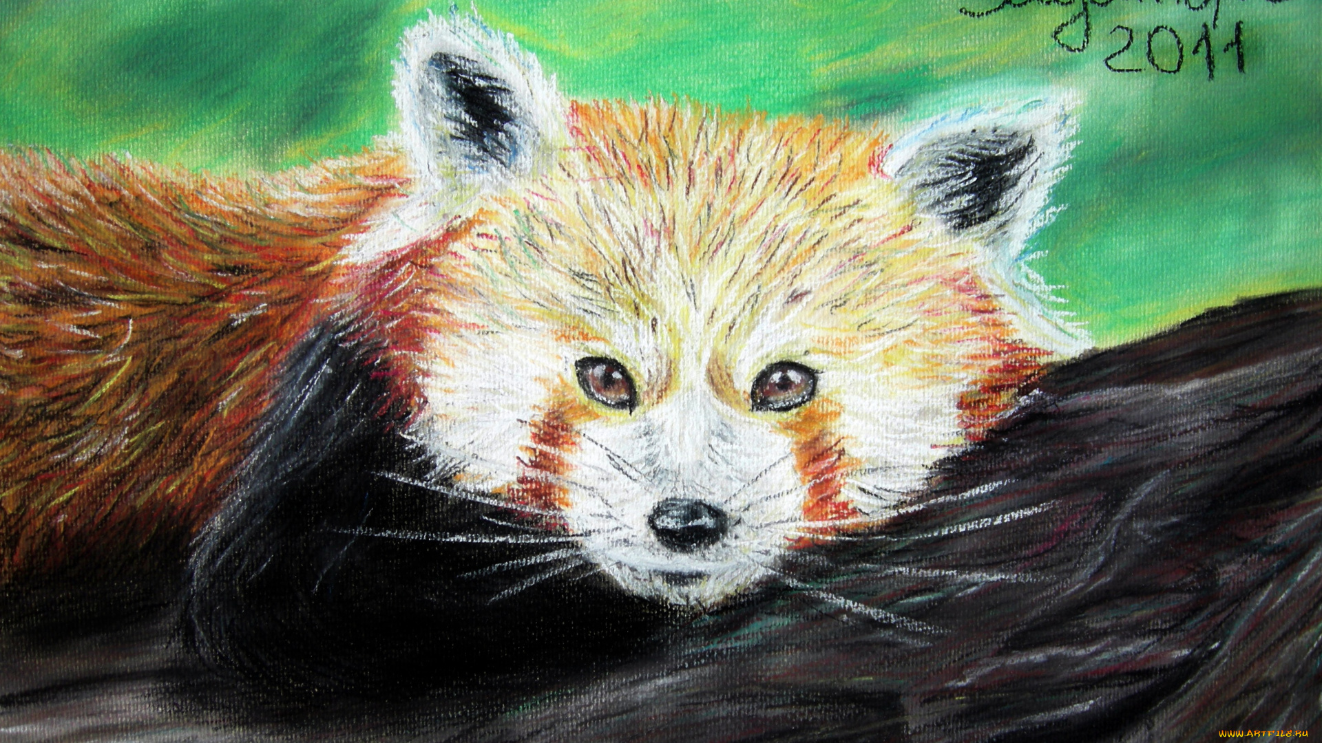 рисованные, животные, лиса