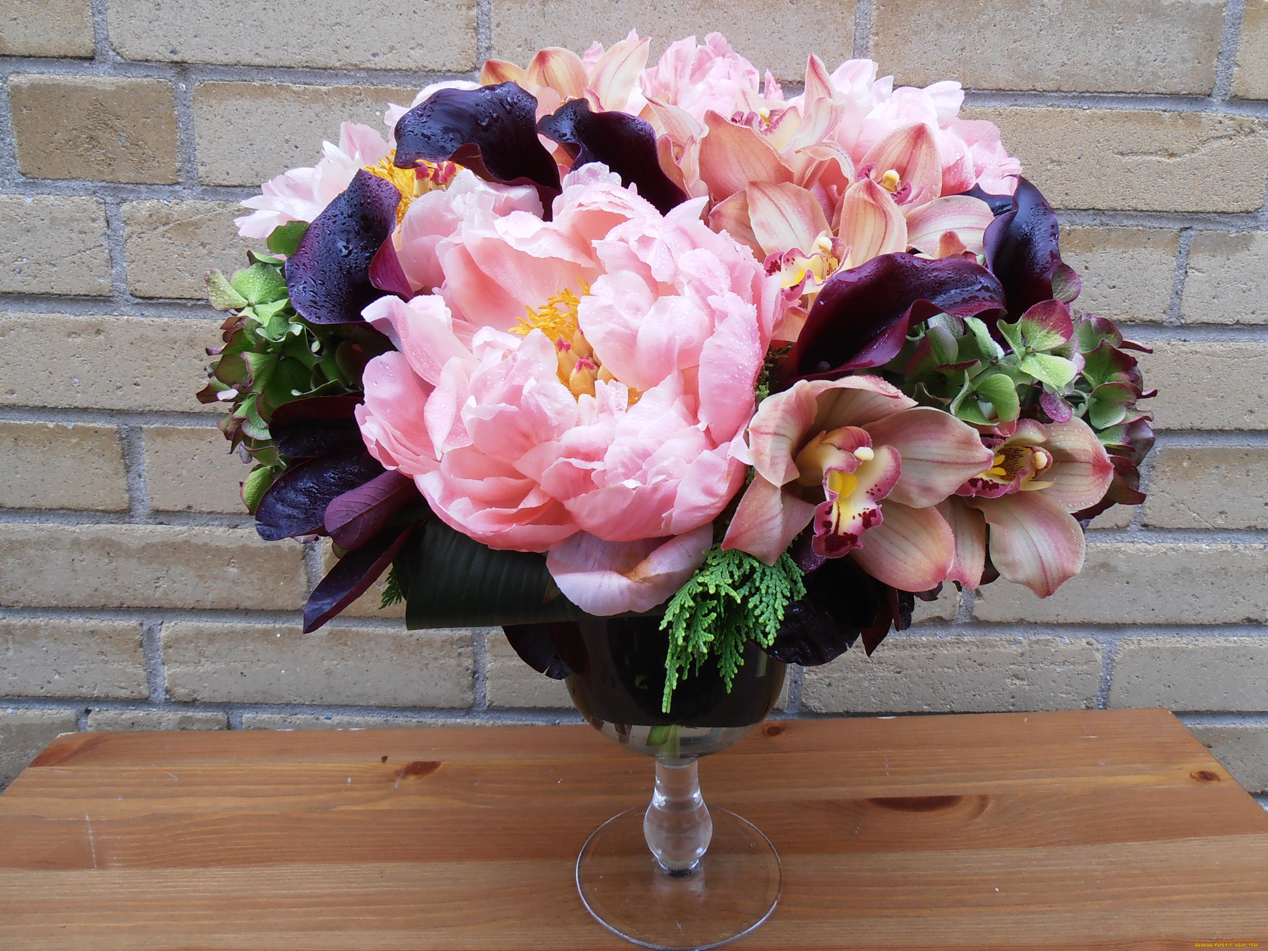 цветы, букеты, композиции, орхидеи, пионы, букет, ваза, каллы