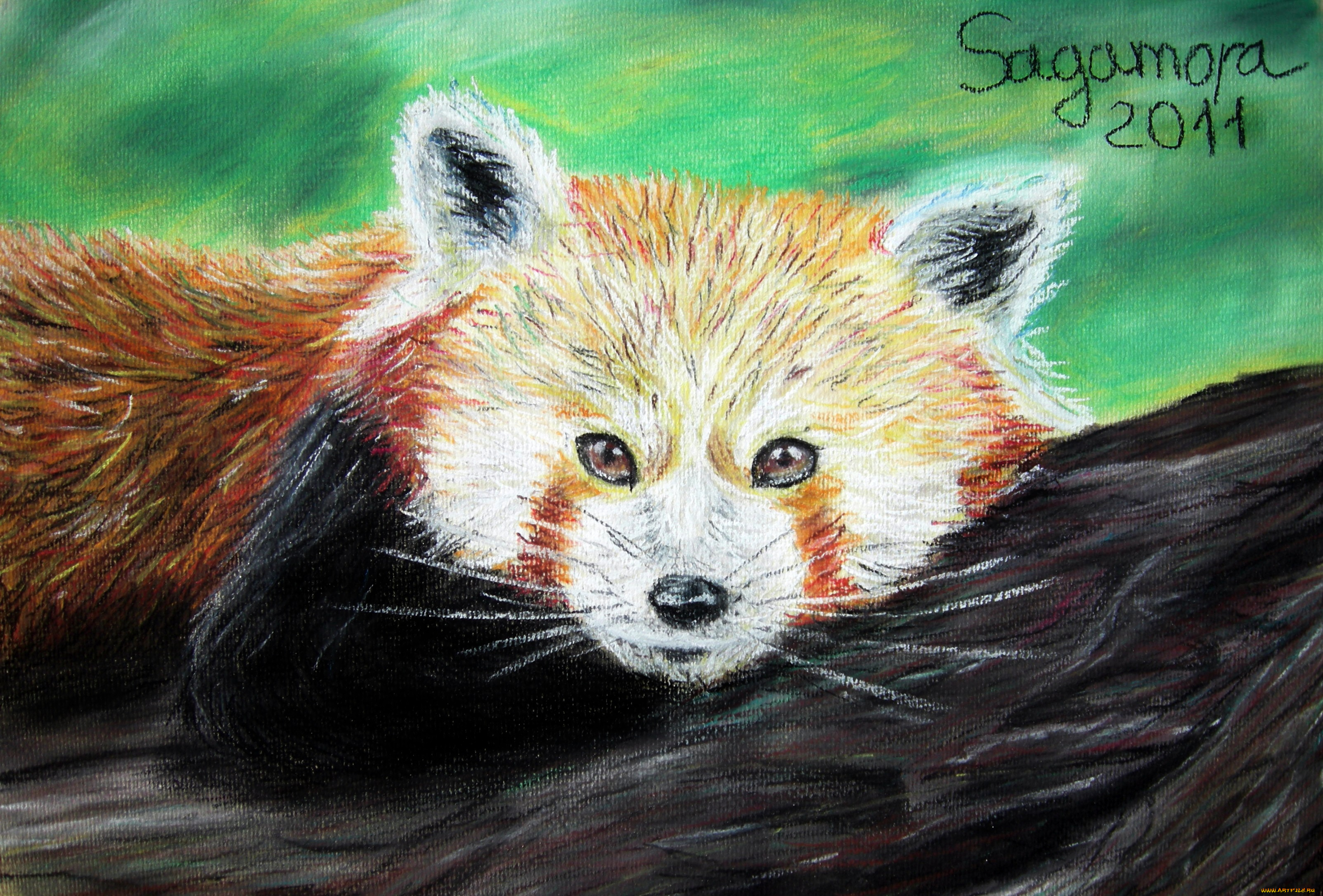 рисованные, животные, лиса