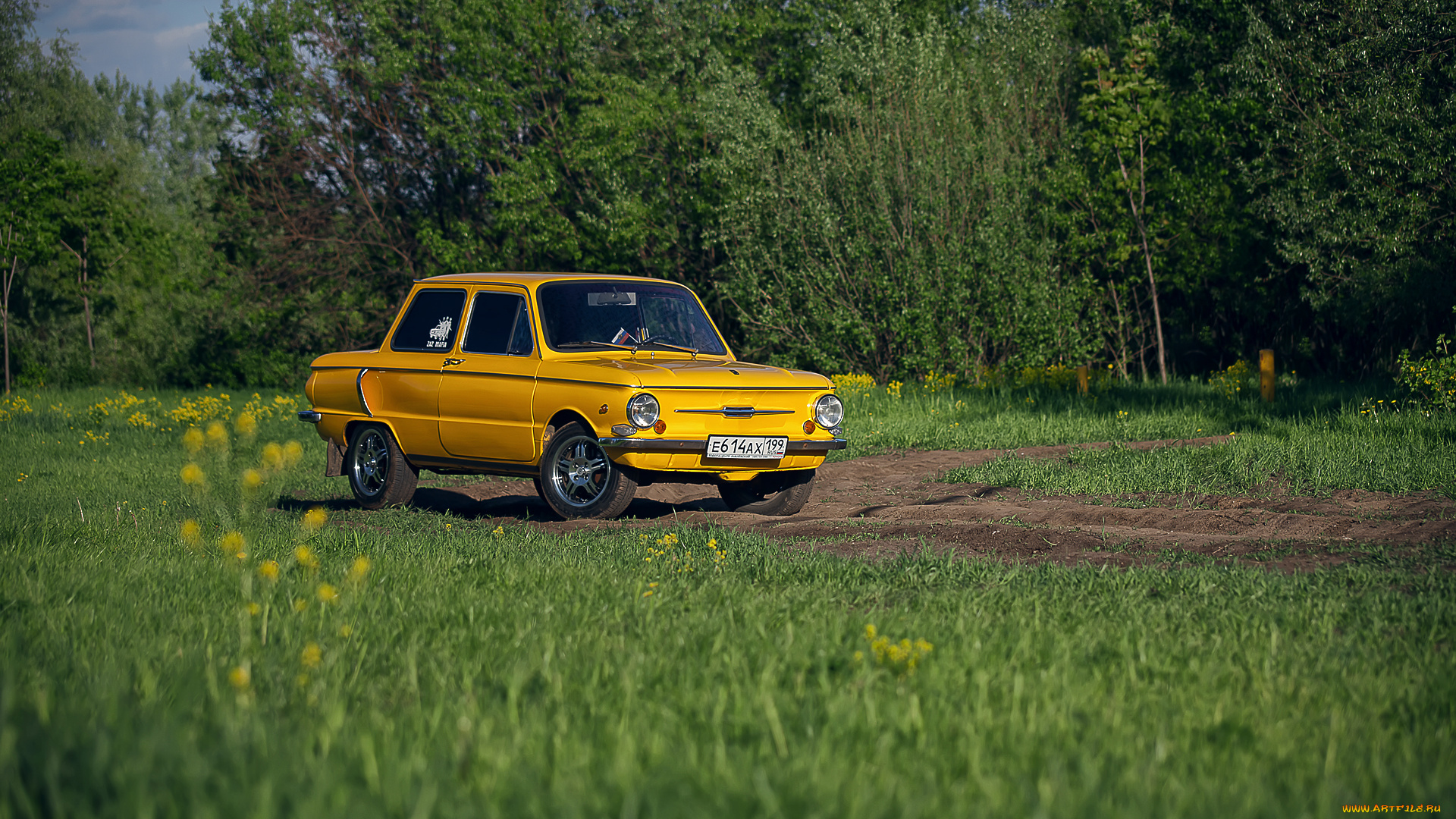 автомобили, заз