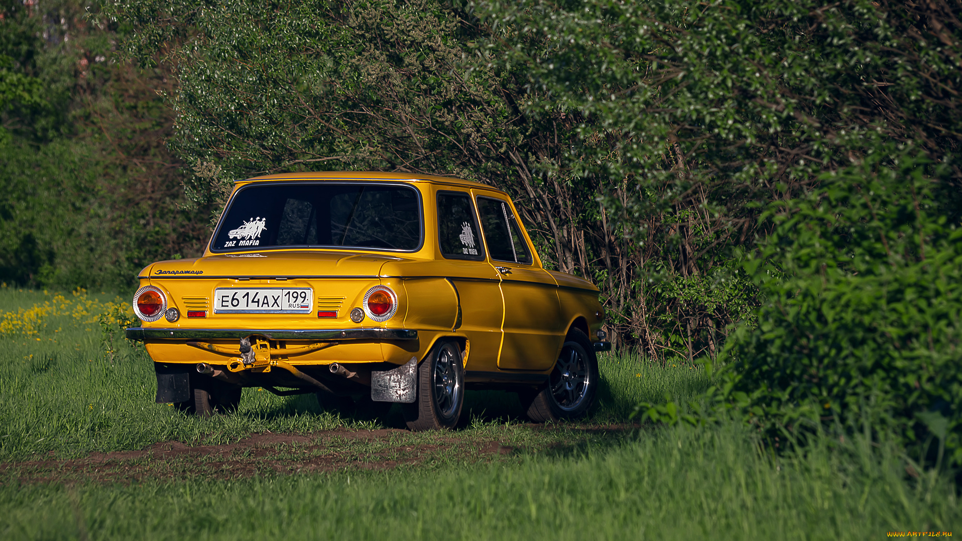 автомобили, заз