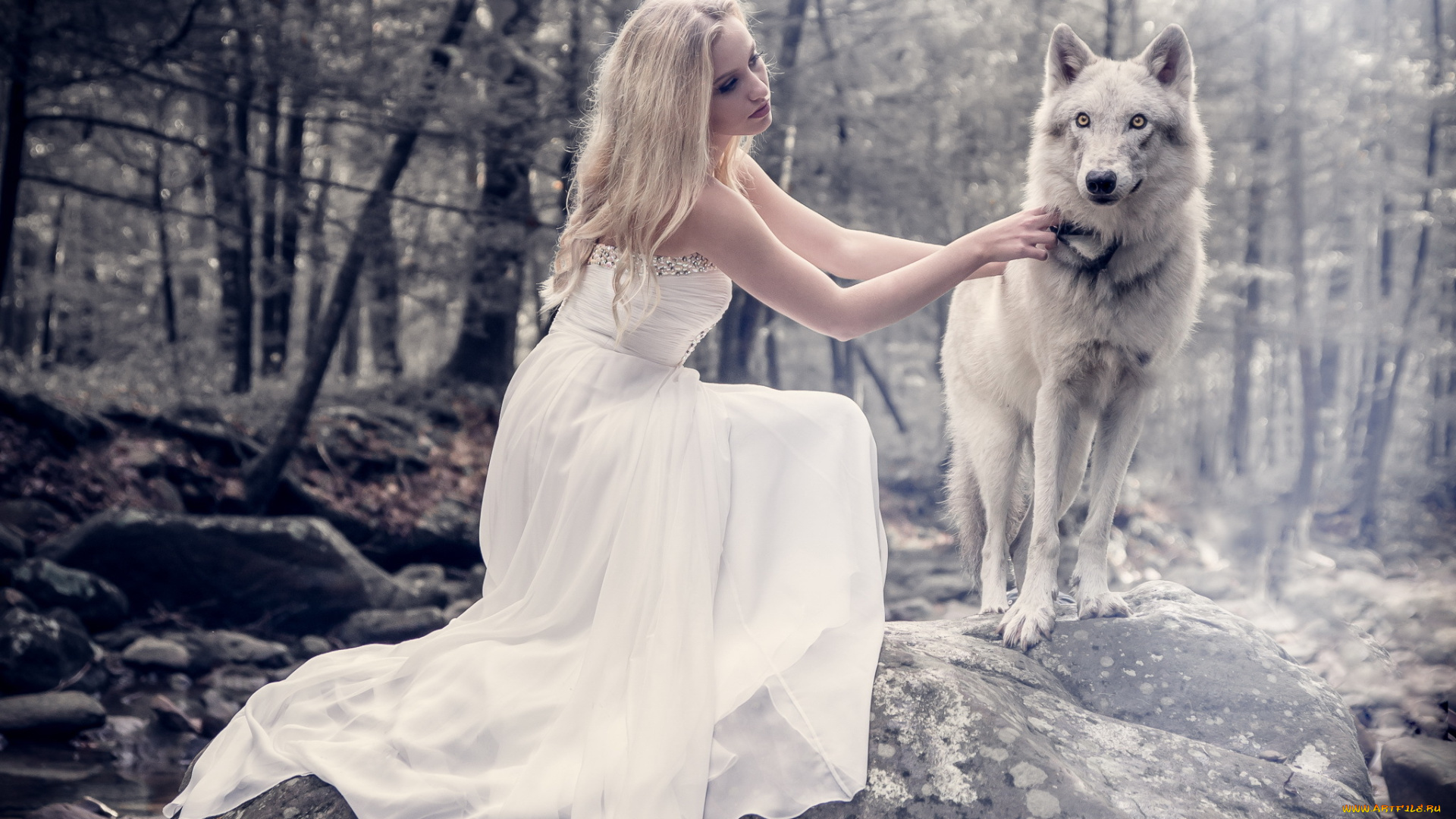 девушки, -unsort, , блондинки, девушка, собака, природа