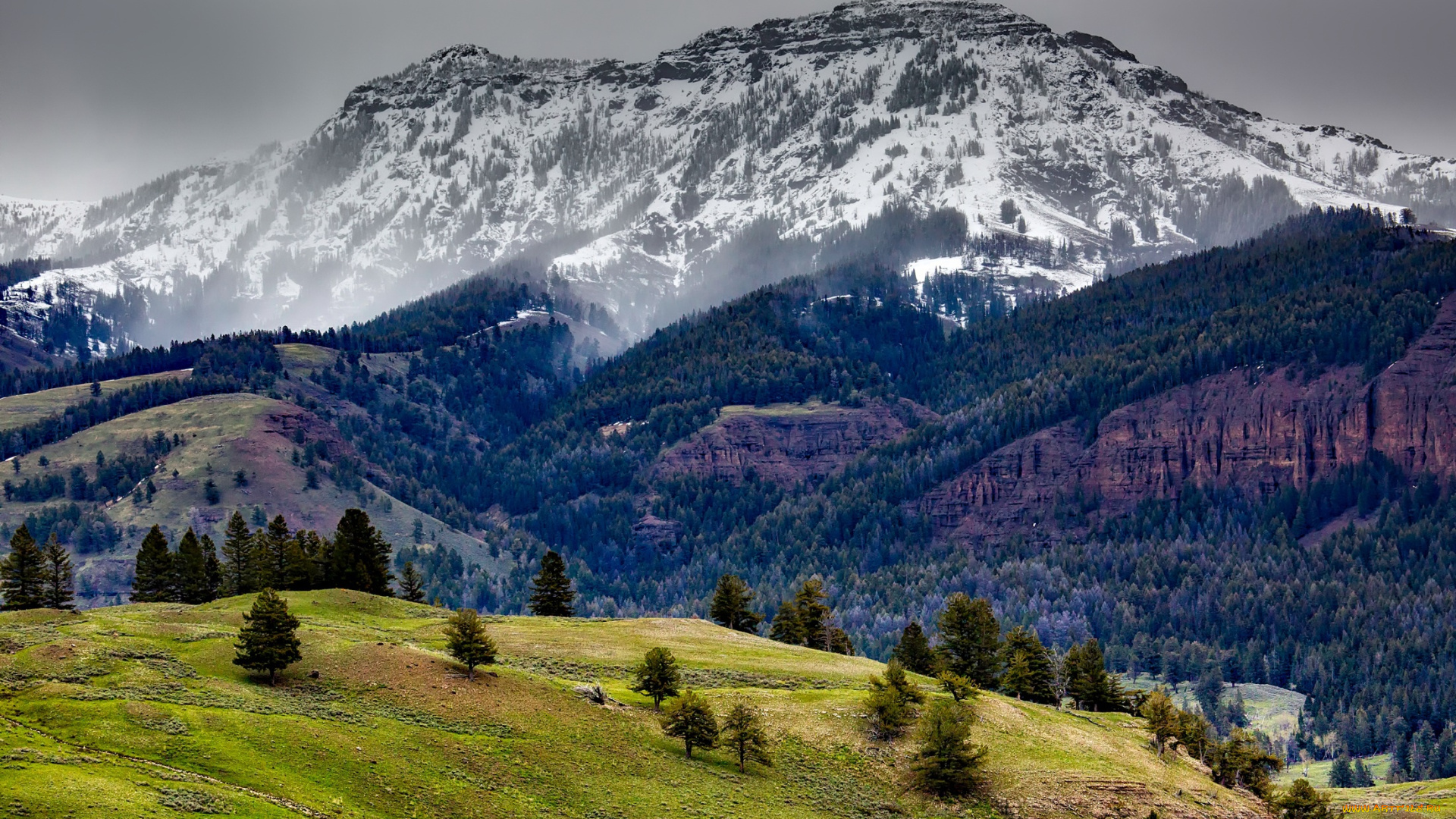 природа, горы, деревья, скалы, лес, сша, yellowstone, national, park, снег