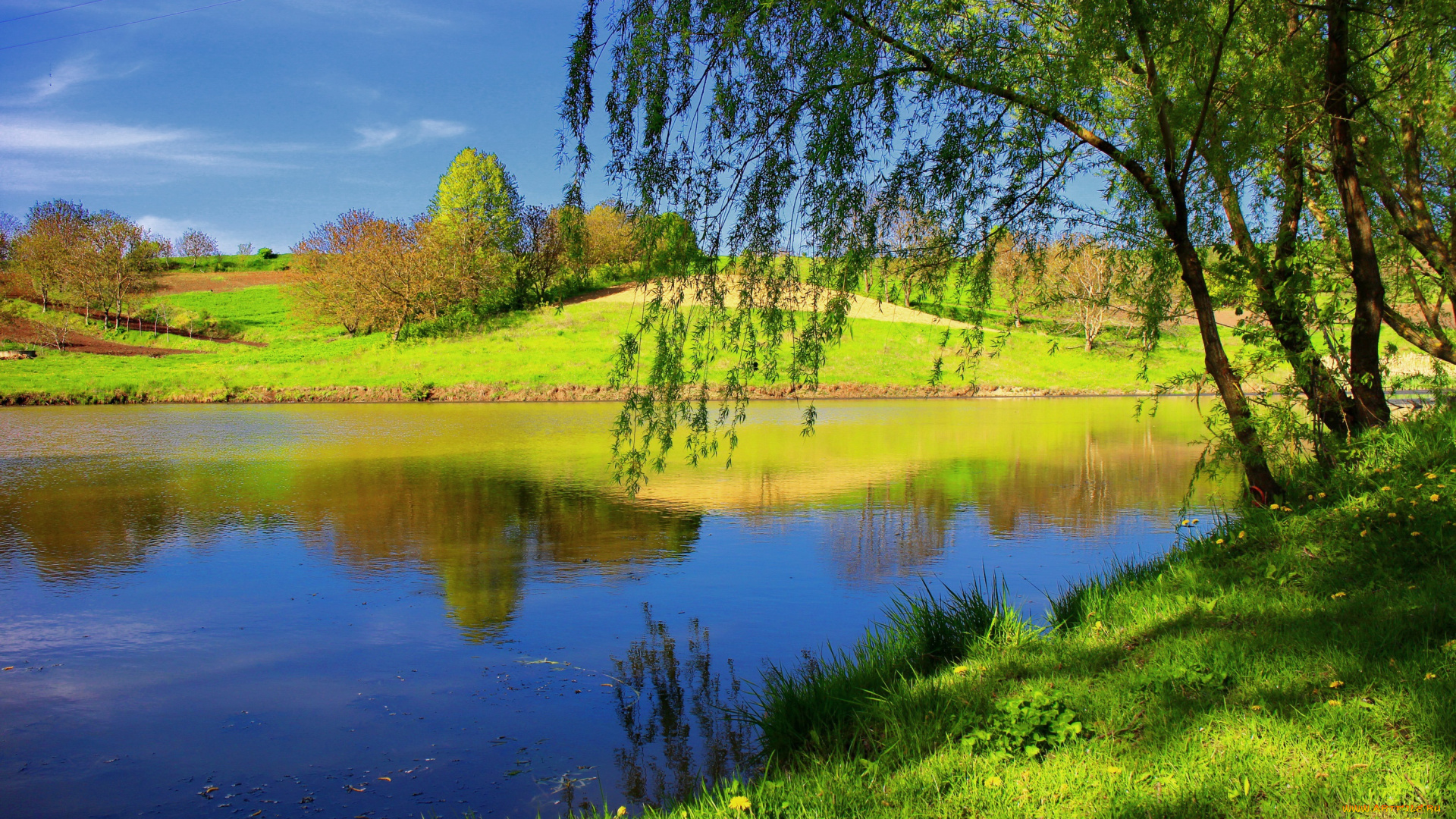 природа, реки, озера, река, деревья, трава, лето
