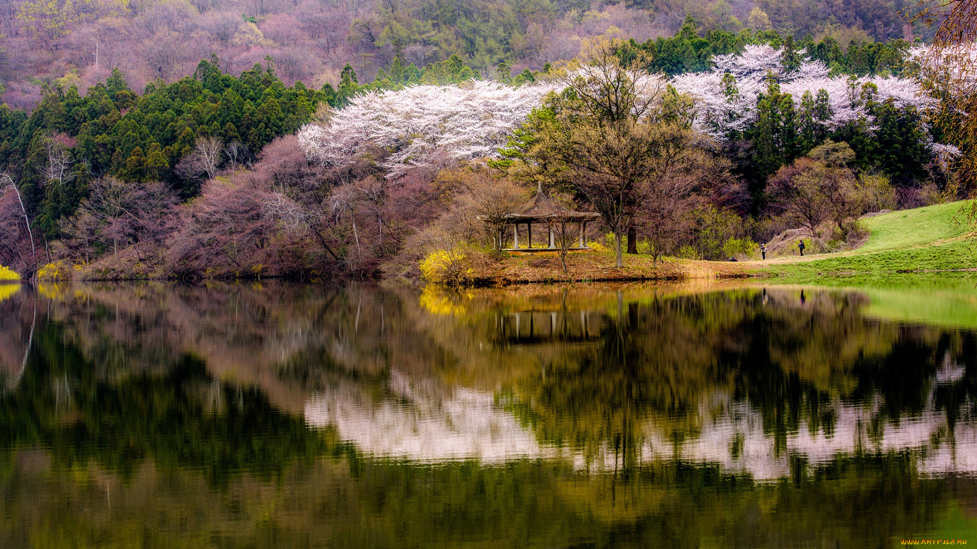 природа, реки, озера, весна, лес, вода, беседка, озеро, цветение, берег, деревья, отражение, горы, южная, корея