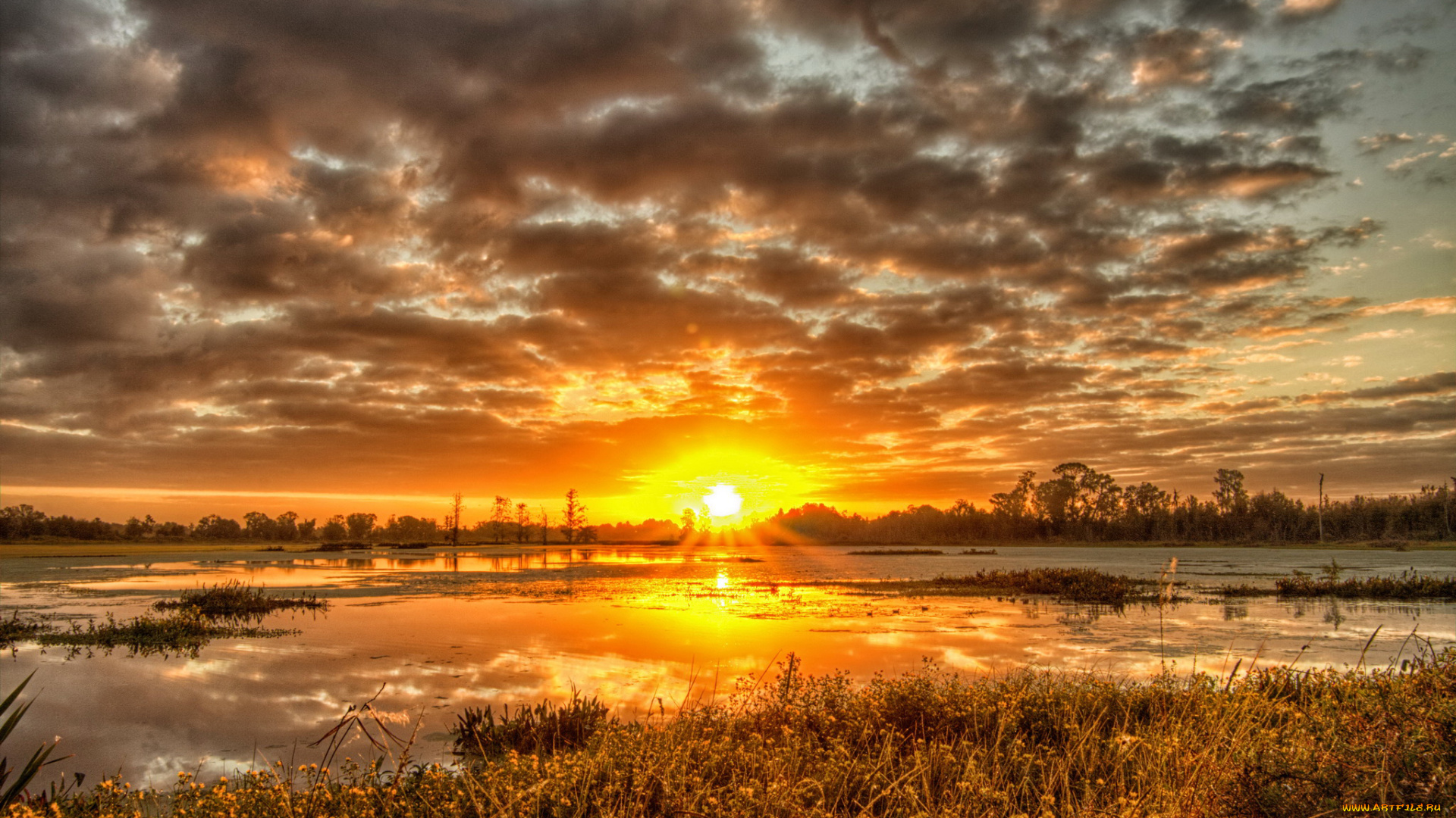 природа, восходы, закаты, трава, речка, лес, закат