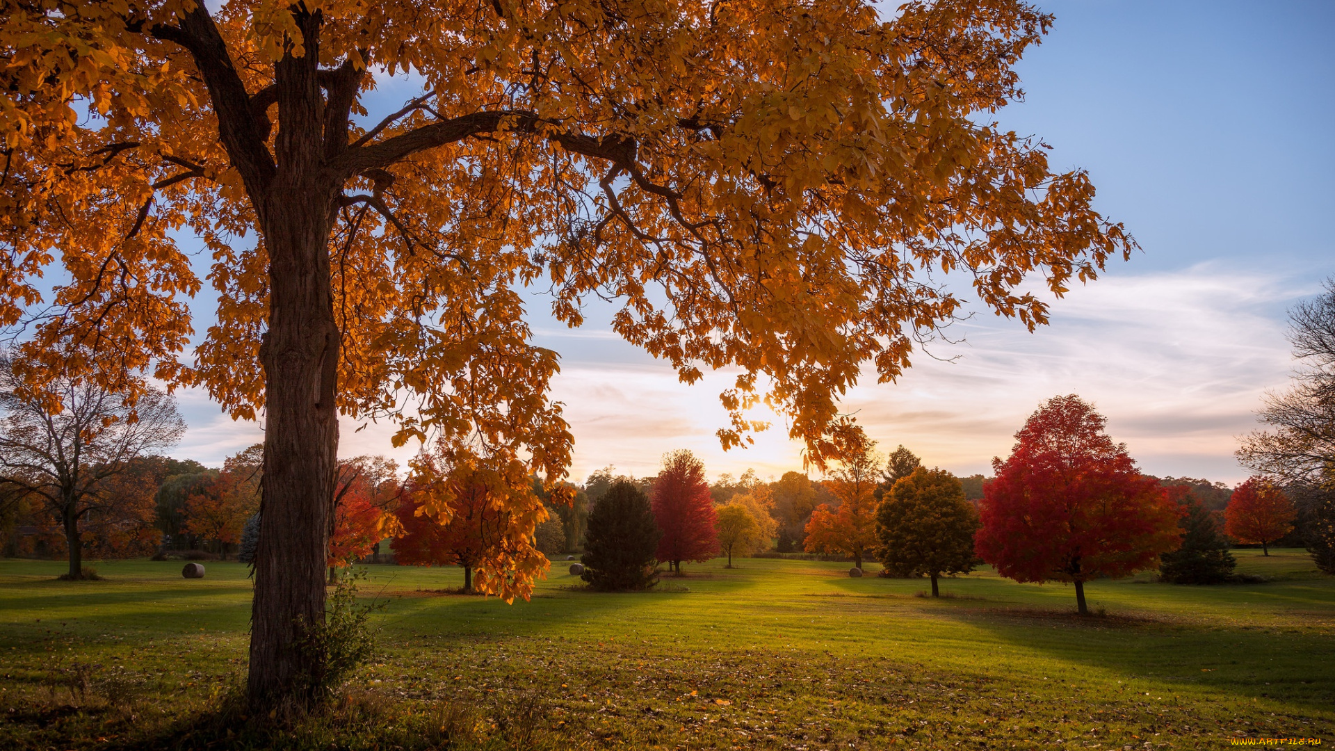 природа, восходы, закаты, висконсин, wisconsin, деревья, парк, осень
