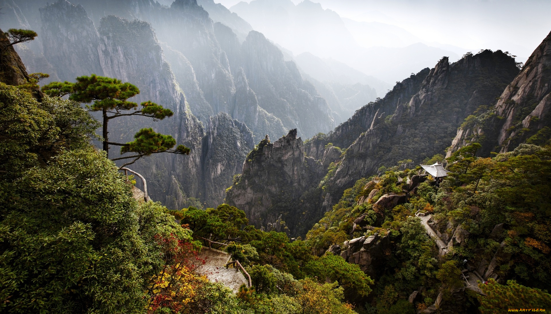 природа, горы, деревья, тропа