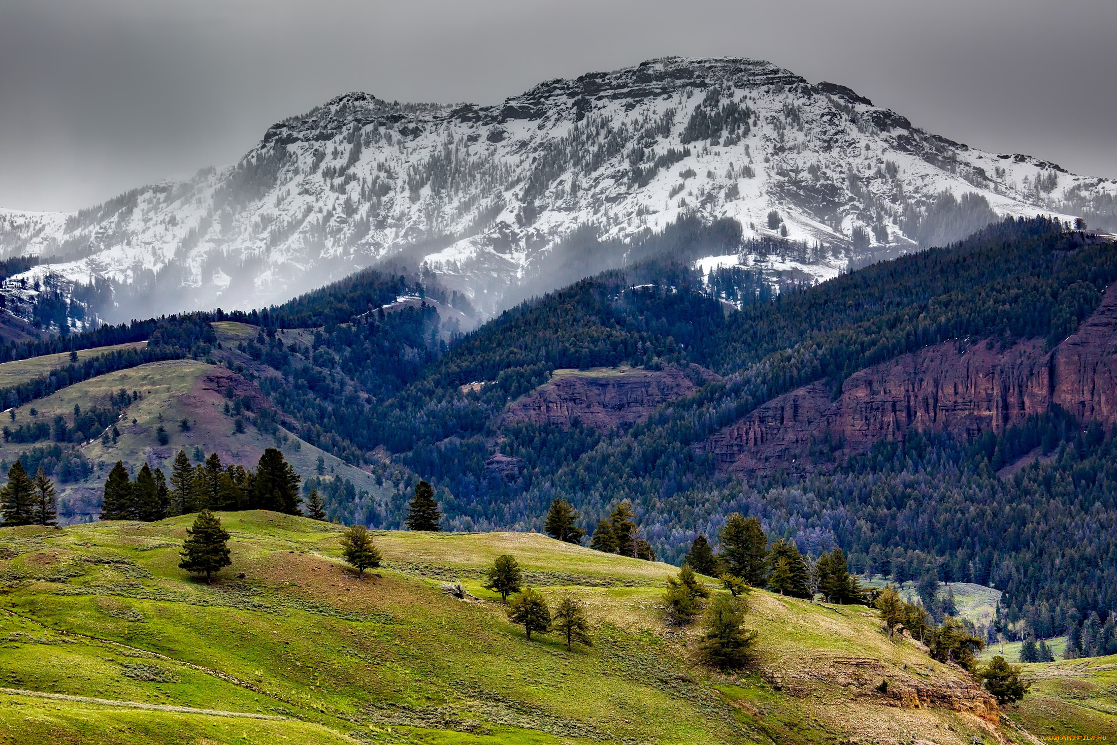природа, горы, деревья, скалы, лес, сша, yellowstone, national, park, снег