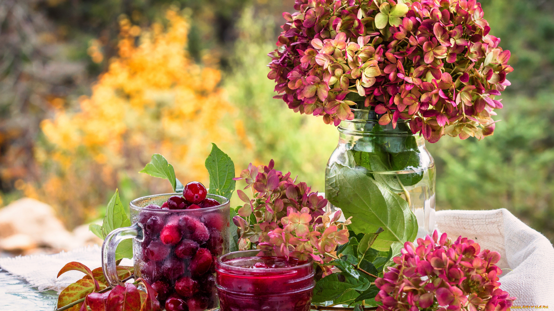 еда, мёд, , варенье, , повидло, , джем, варенье, гортензия, цветы, вишня