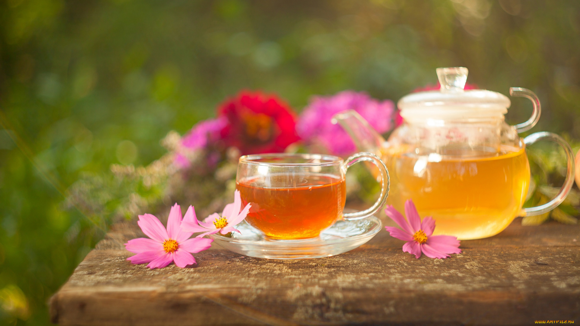 еда, напитки, , Чай, цветы, чай, напиток, космея, чайник