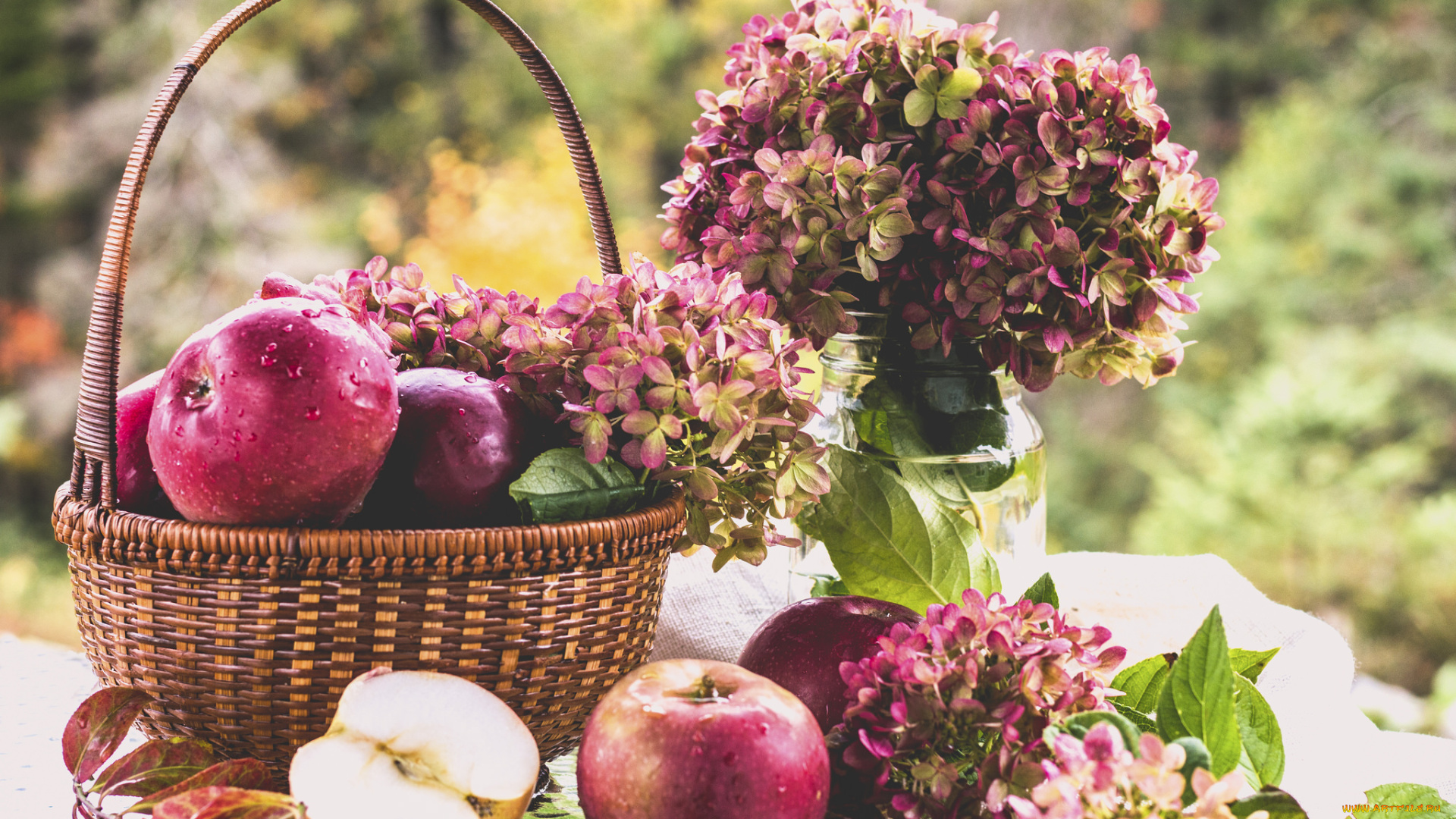 еда, Яблоки, корзина, яблоки, гортензия, цветы