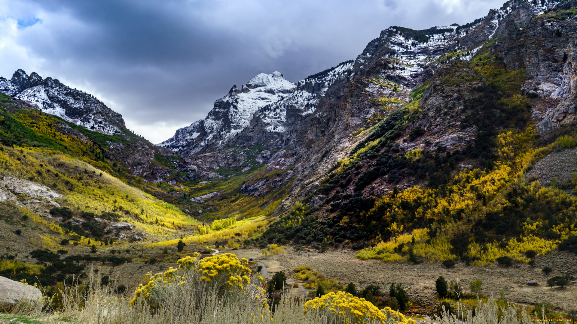 природа, горы, простор