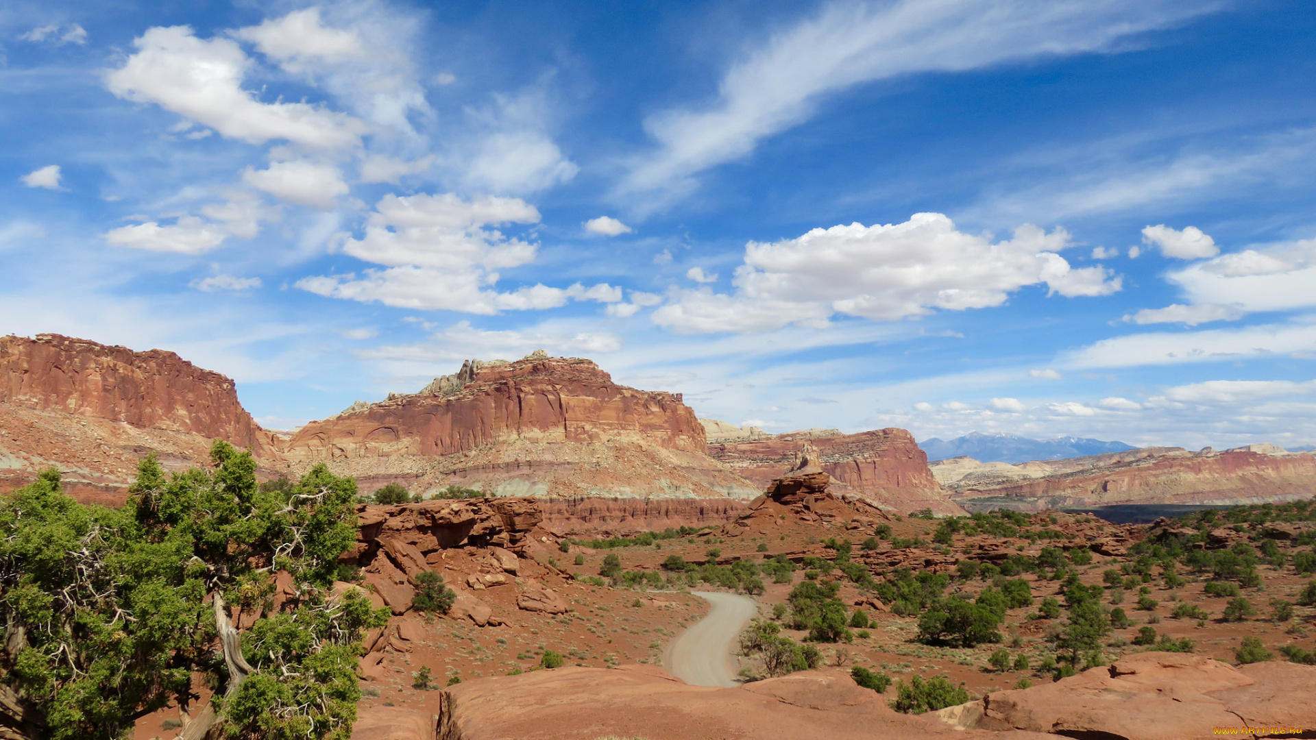 природа, пустыни, простор