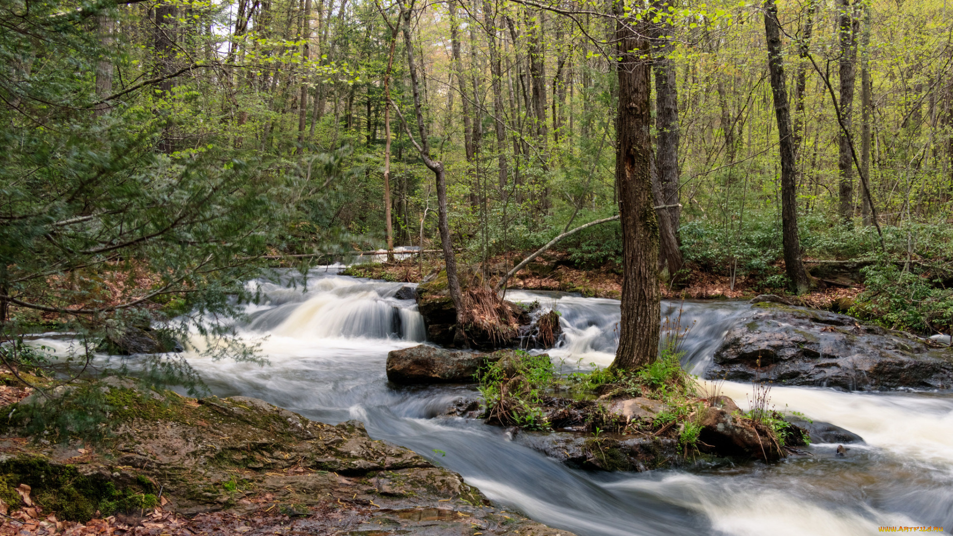 природа, реки, озера, простор