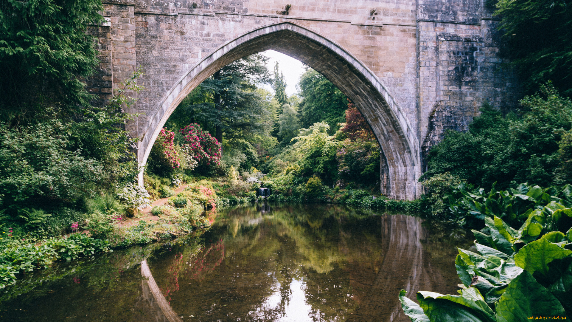 природа, реки, озера, простор