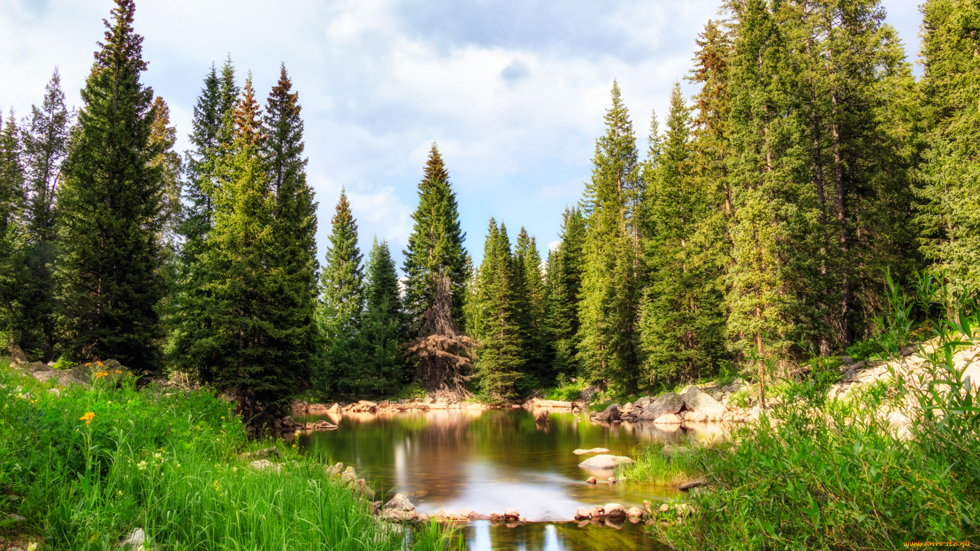 природа, реки, озера, простор