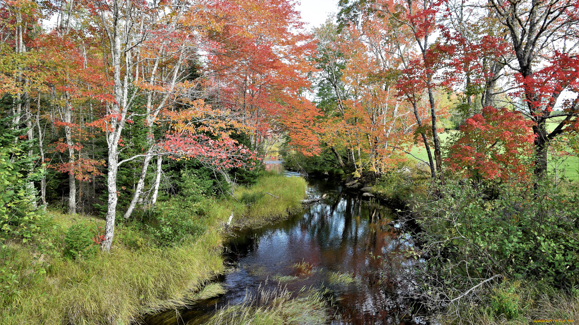 природа, реки, озера, простор